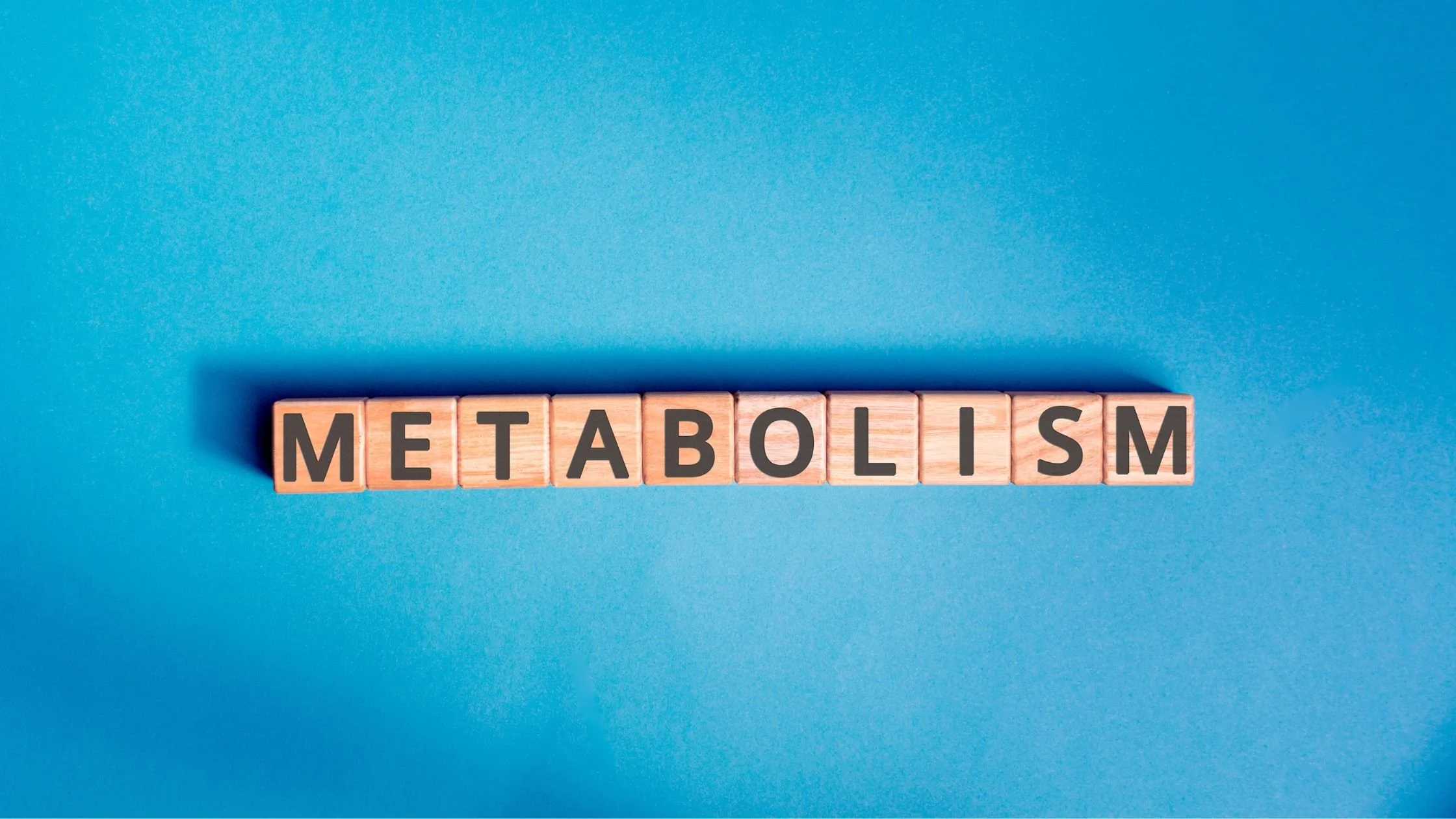 Why Metabolism Isn’t Just About Weight Loss (And What It Really Means)