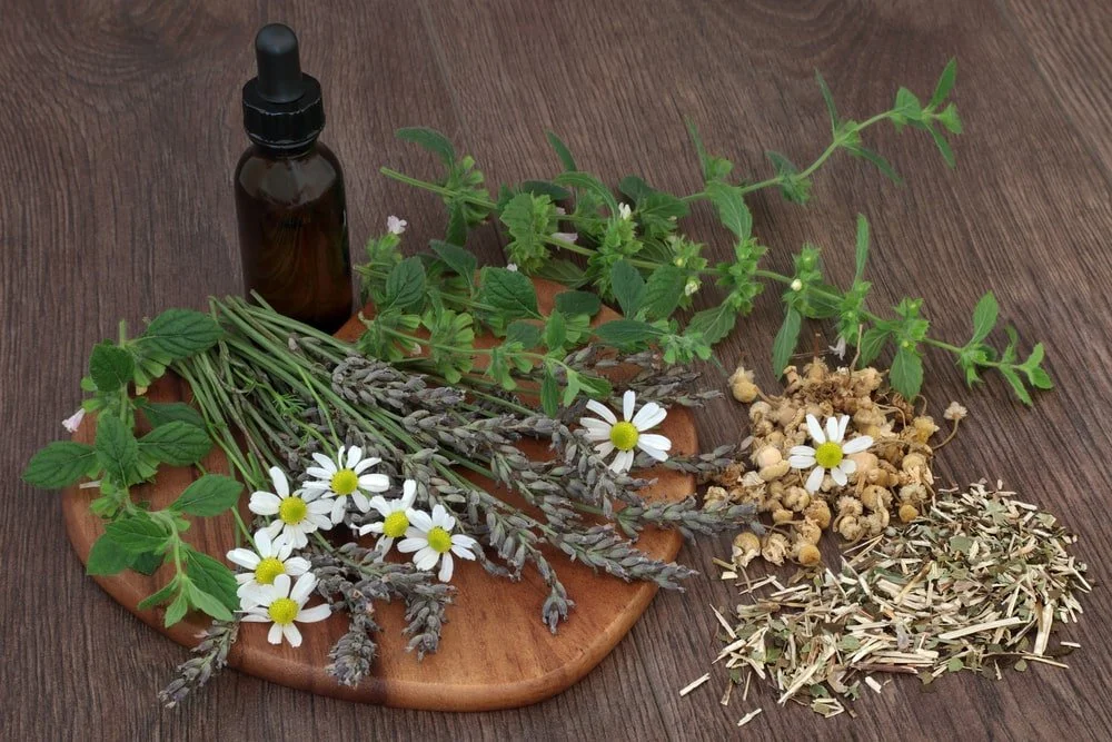 calming herbs with EO bottle compressed.jpg