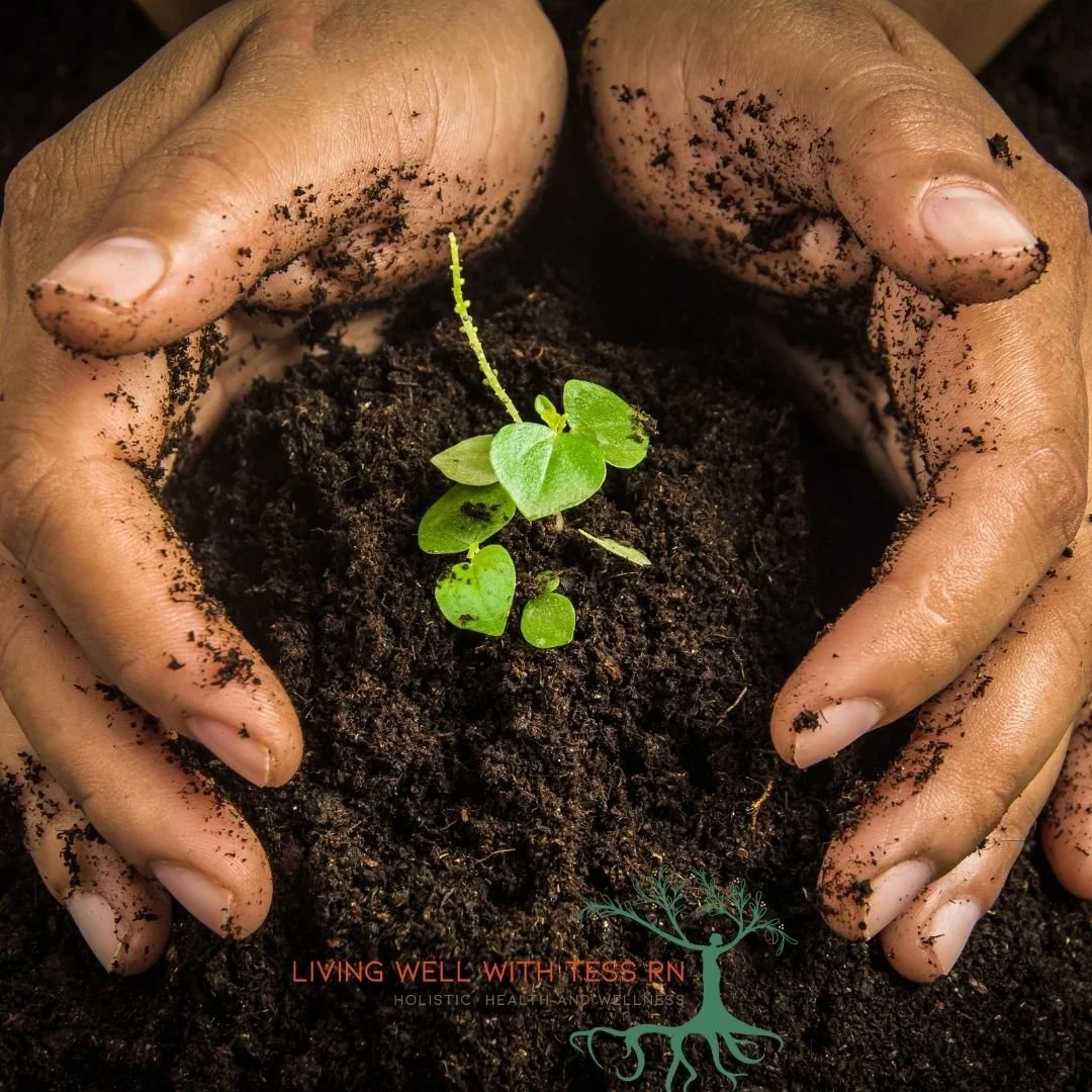The Rooted Balance Assessment