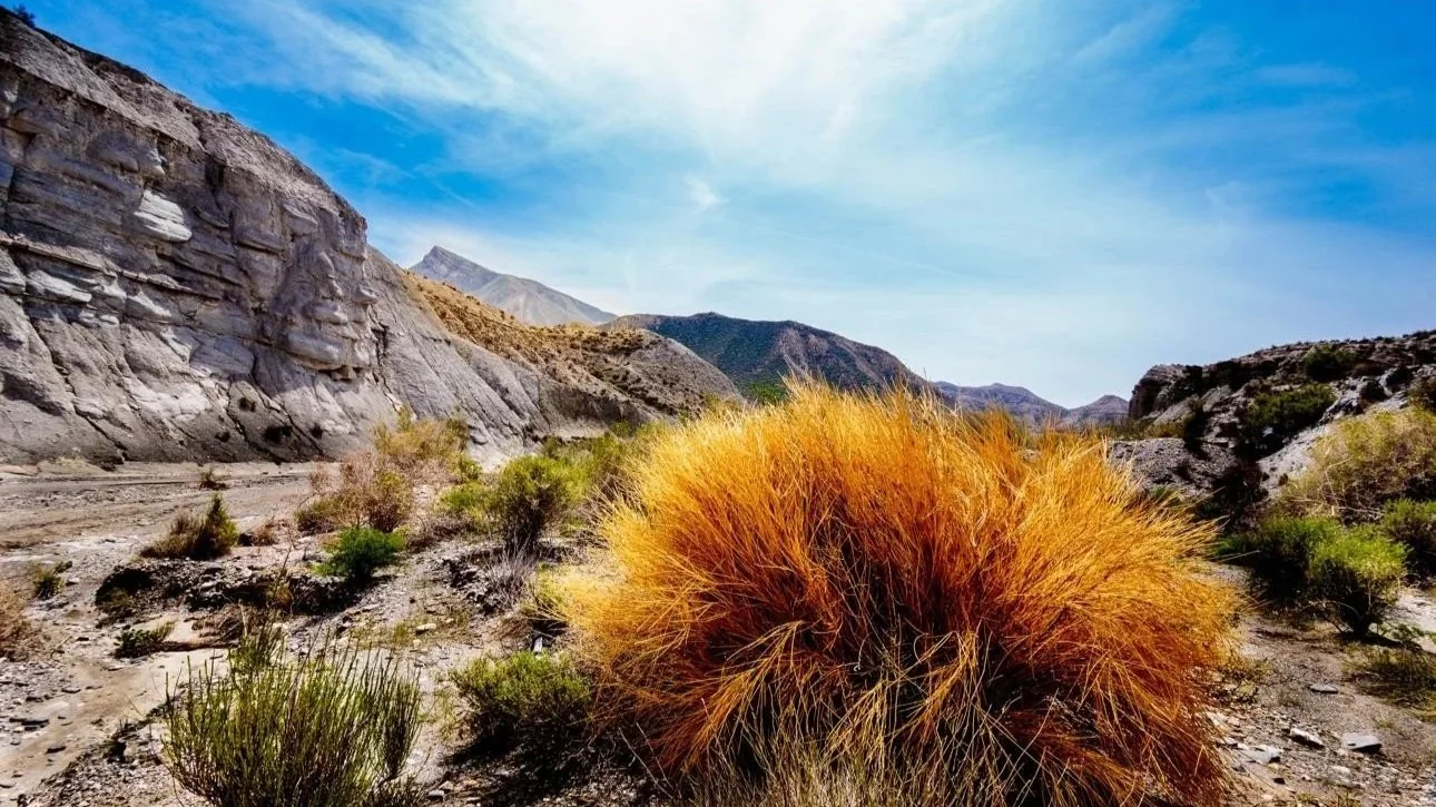 12. Desertification in Almería: Is Nature Failing, or Are We Failing Nature?