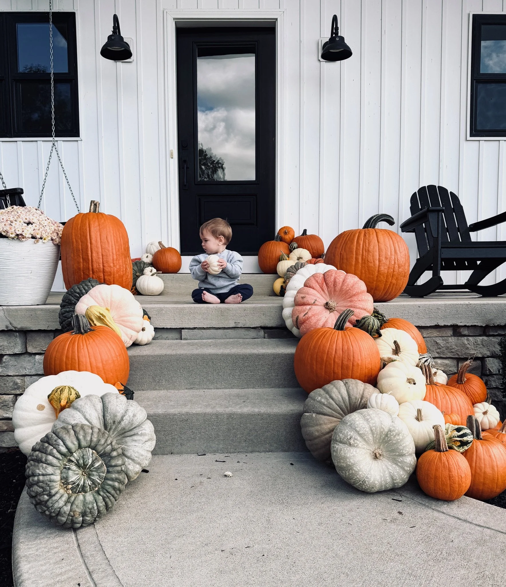Front porch decorated with pumpkins and purple mums for fall. The pumpkins include orange, white, and green gourds arranged along the steps and on either side of the porch. A large plant of purple mums is placed at the top of the stairs beside the door.