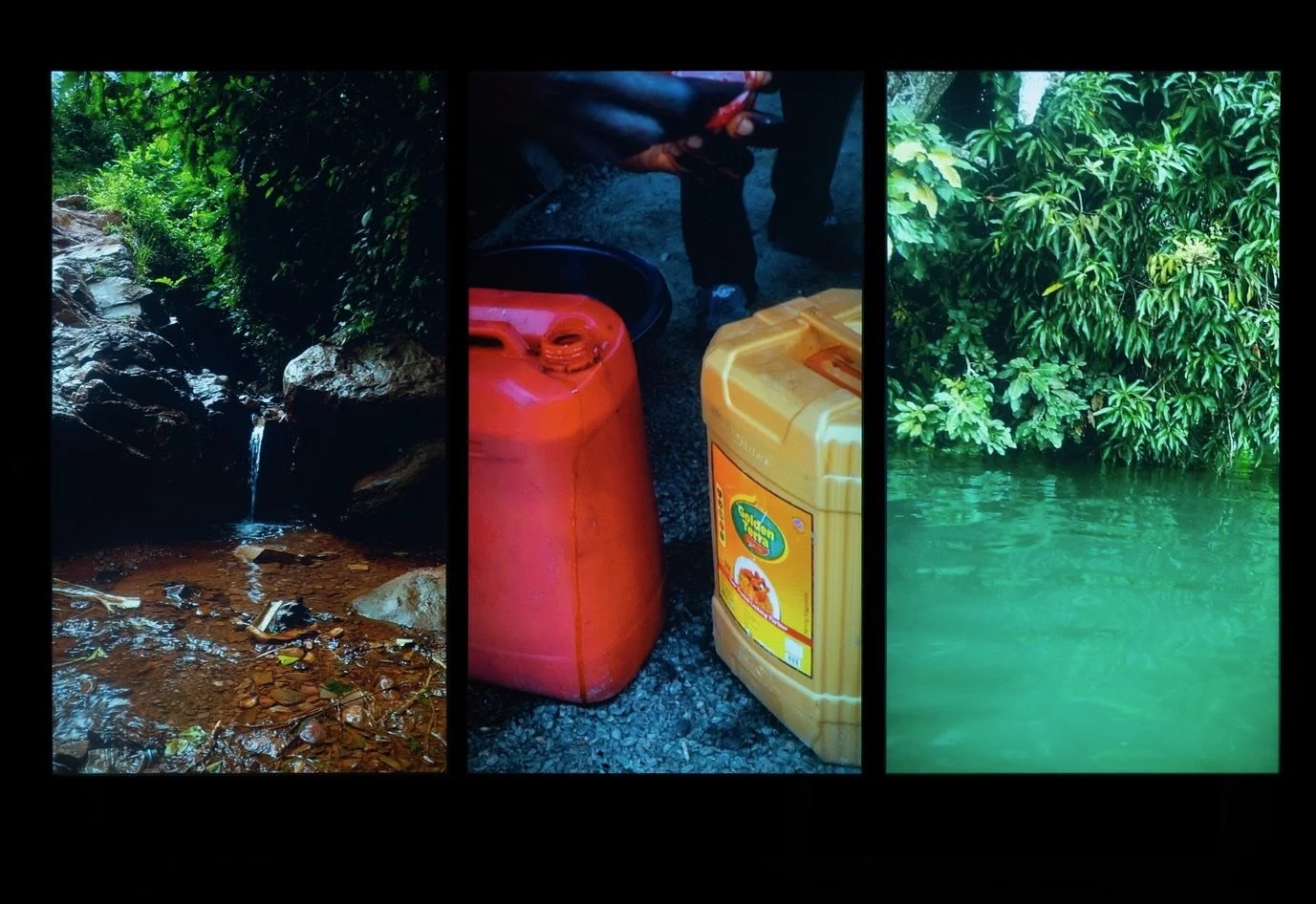 Linda Lamignan, 'We are touched by the trees in a forest of eyes', 2025. Liverpool Biennial 2025 at FACT. Photography by Mark McNulty..JPG