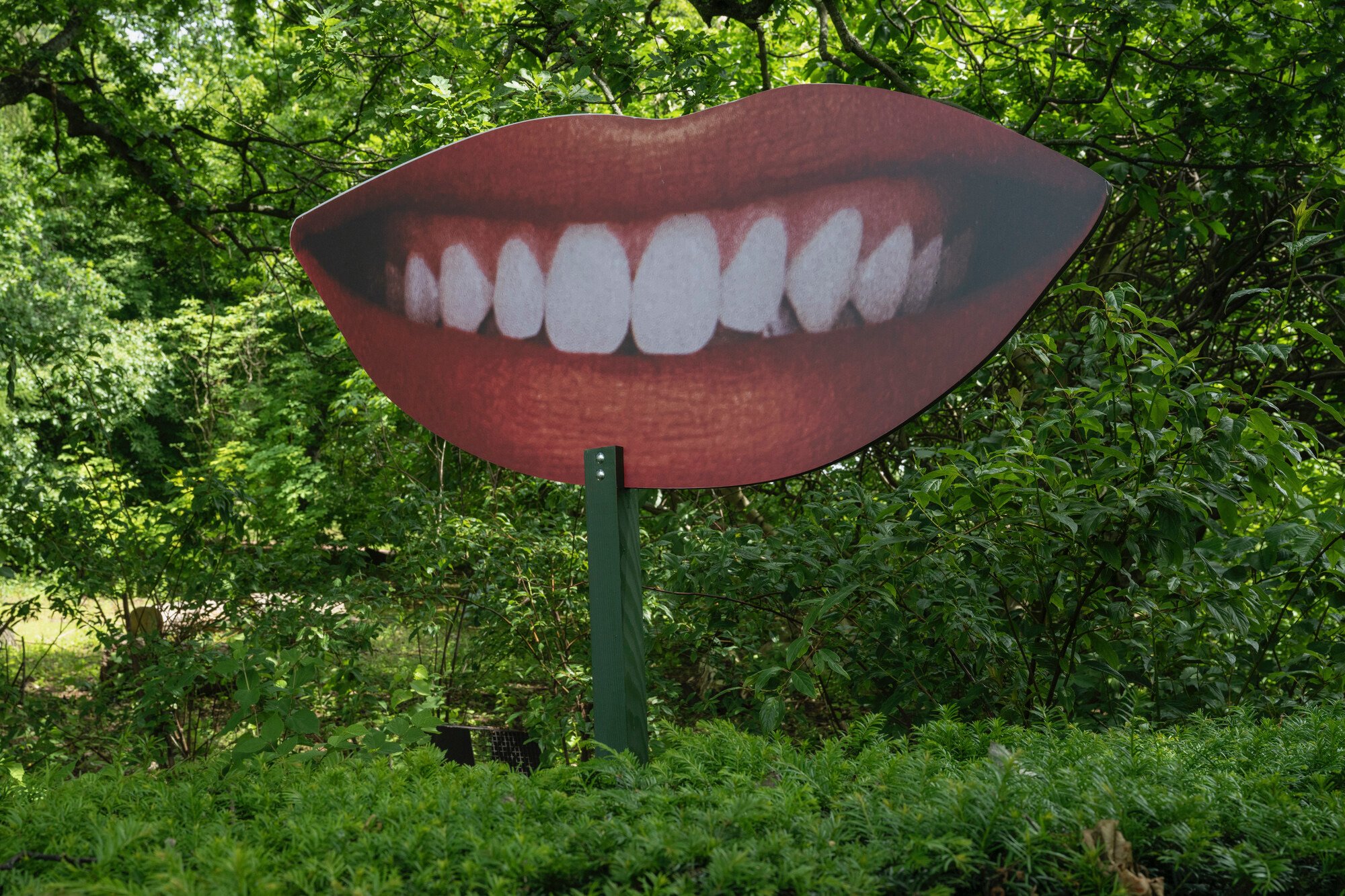 RS19237_Garden of Smiles_010_lpr.jpg