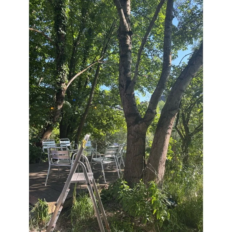 Whitagram-Image (11).jpg