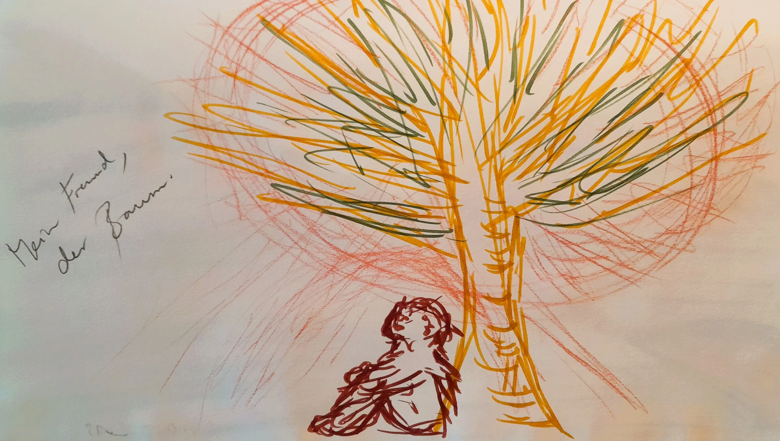 Mein Freund, der Baum.jpg