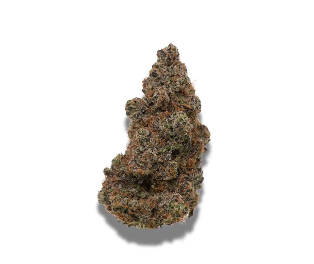 Blueberry Muffin 