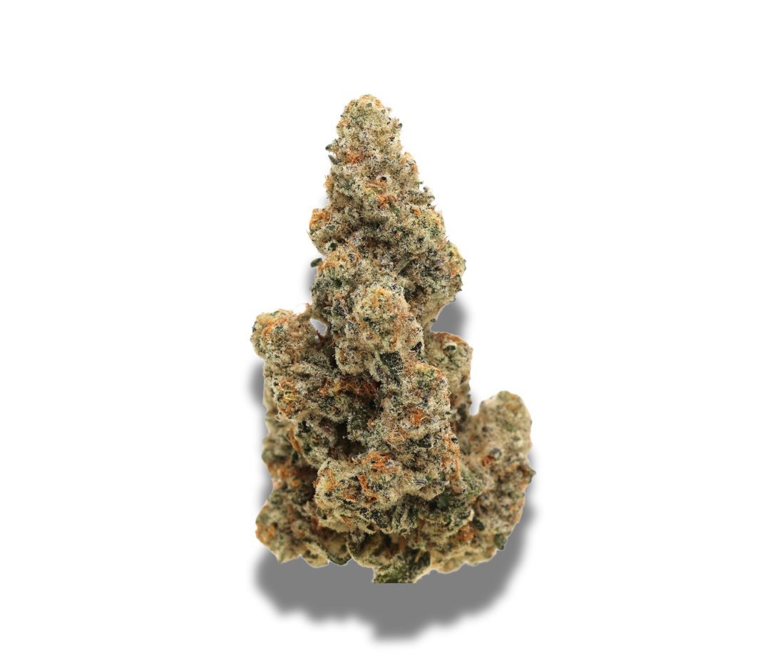 Ice Dawg