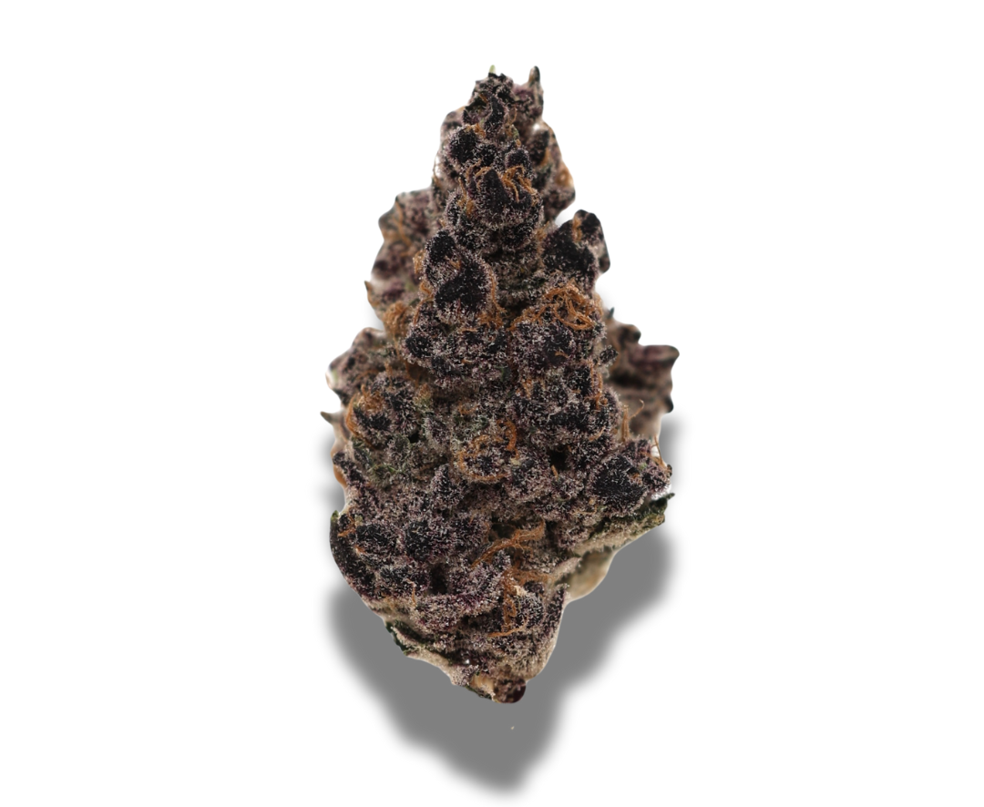 Purple Tangie
