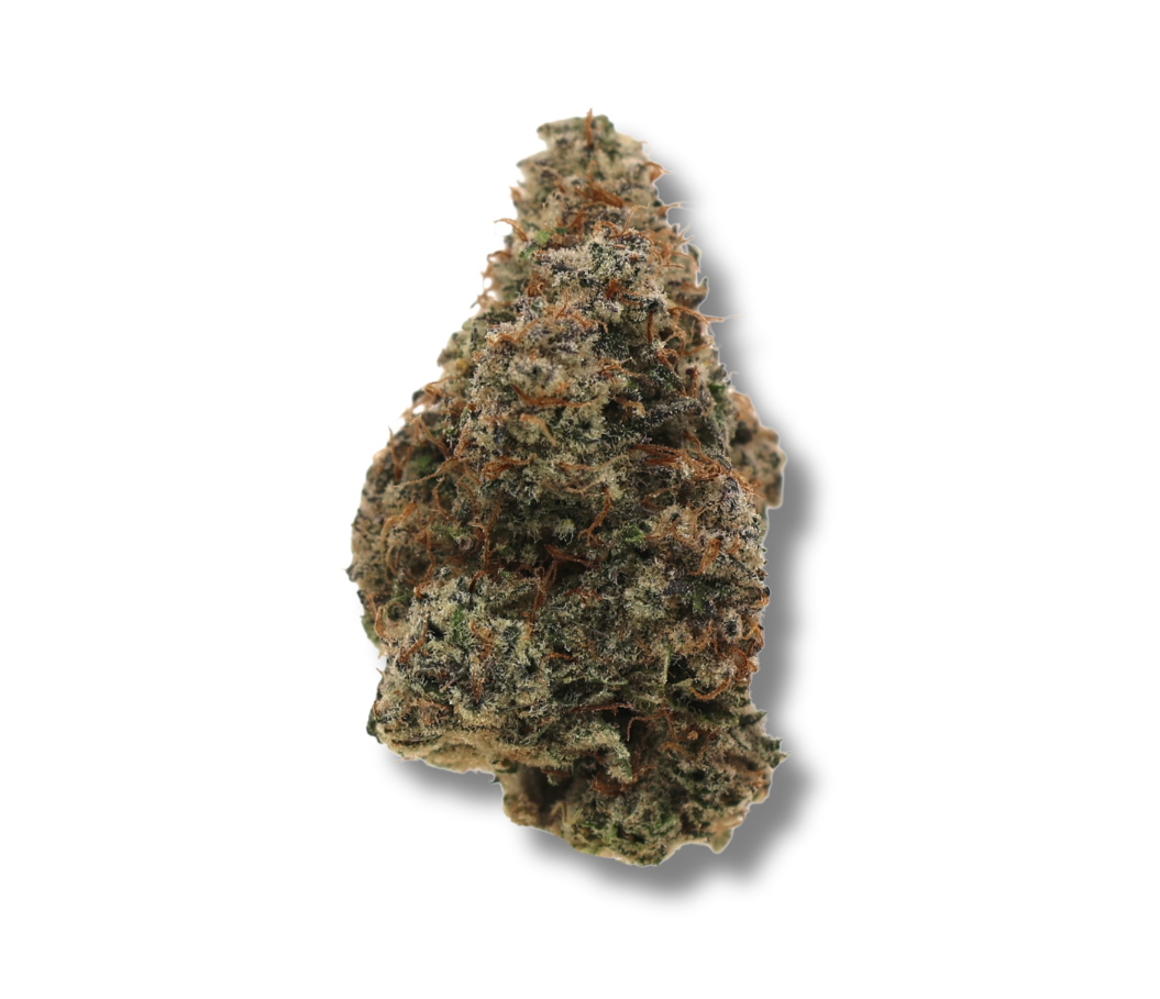 Watermelon Mimosa