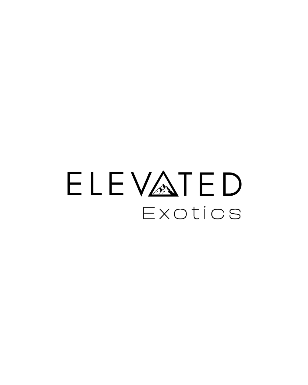 Black background with a white rectangular logo featuring a mountain illustration inside the letter A in 'ELEVATED,' and the words 'ELEVATED Exotics' below in black text.