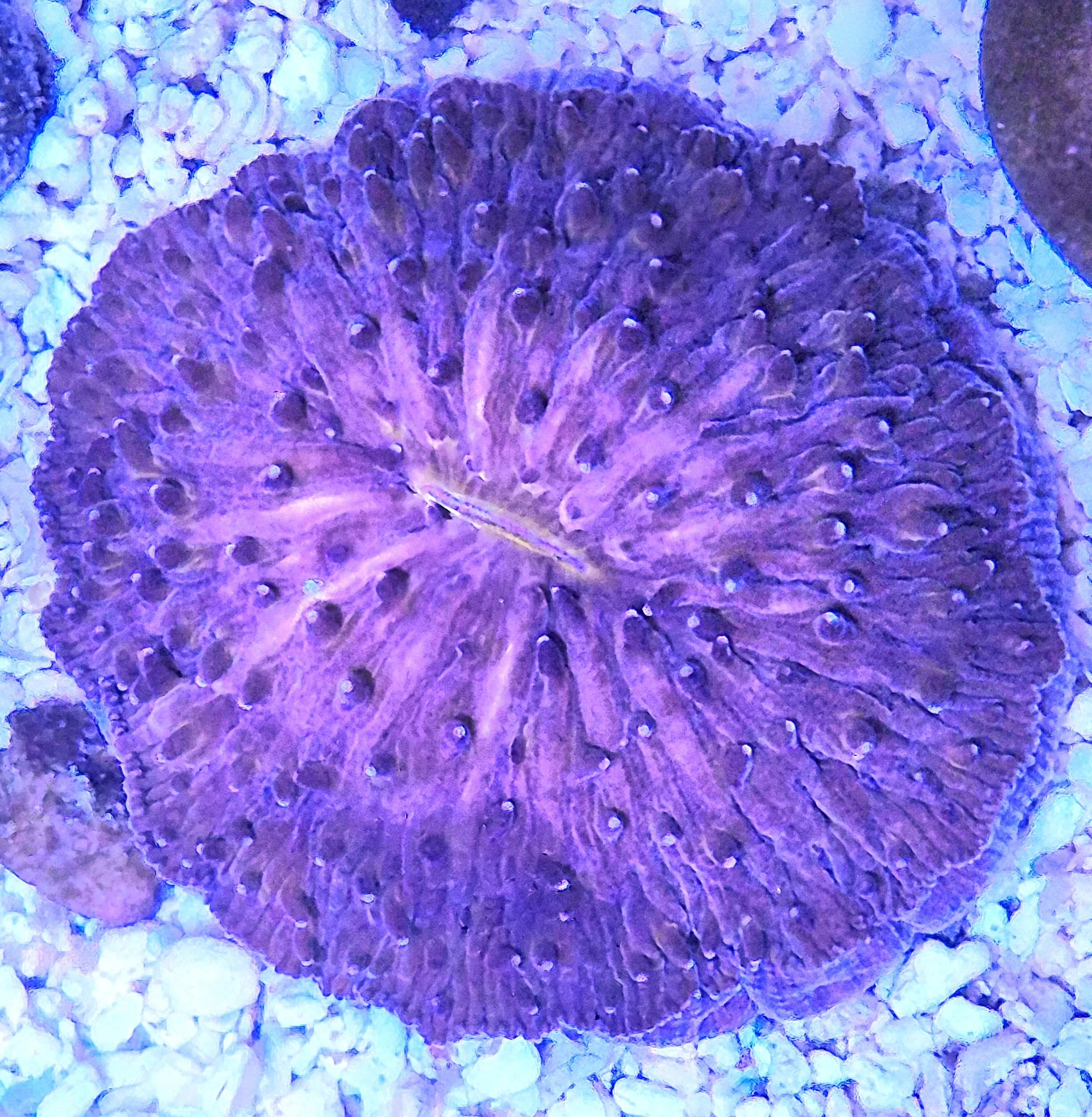 20251118_173038.jpg