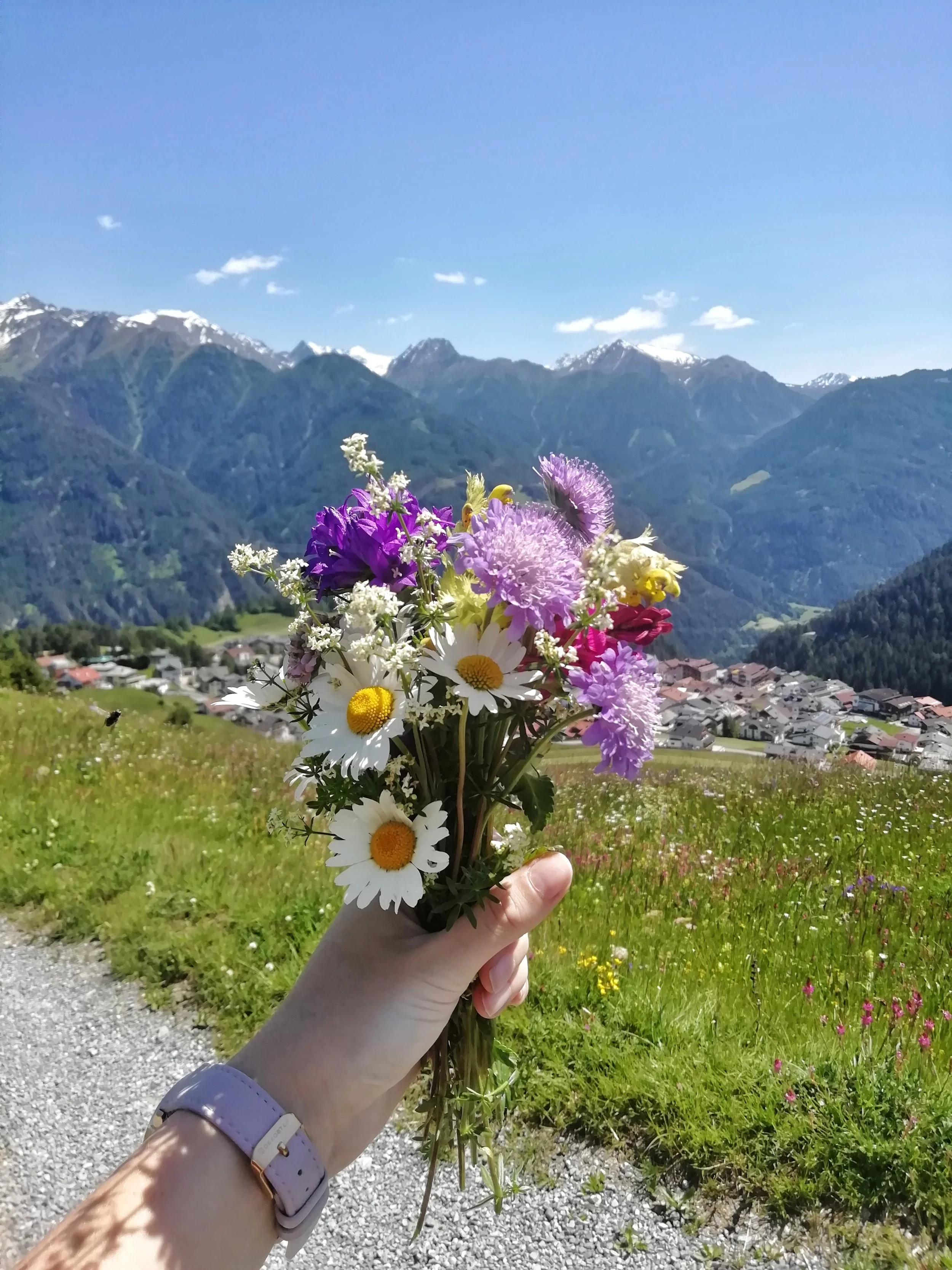 Hand hält einen Blumenstrauß mit weißen Gänseblümchen und lila, pinken und weißen Blüten vor einer Bergkulisse mit kleinen Dörfern und schneebedeckten Gipfeln im Hintergrund.