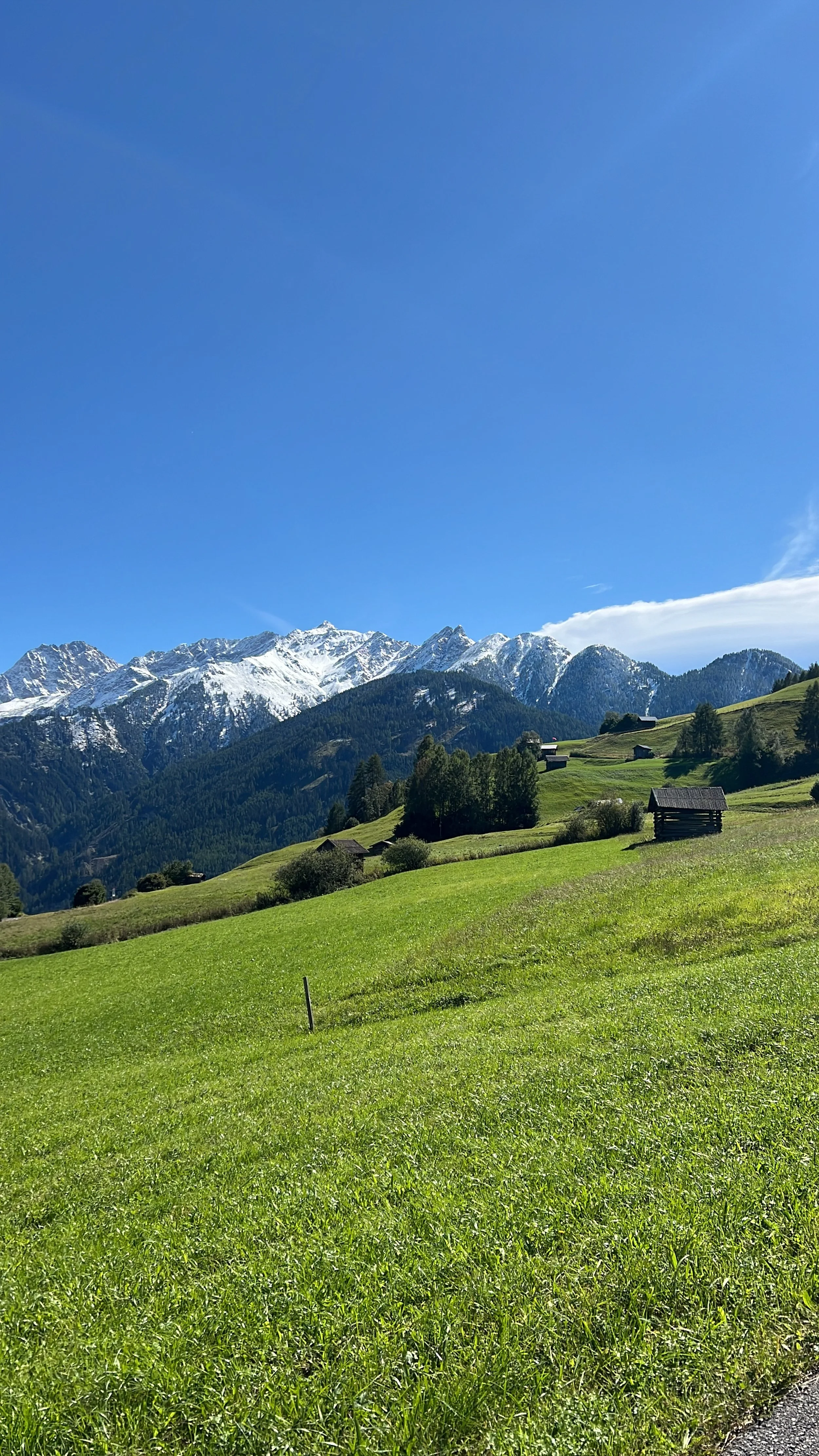 Grünes Hügelland mit kleinen Holzhütten, im Hintergrund schneebedeckte Berge unter blauem Himmel.