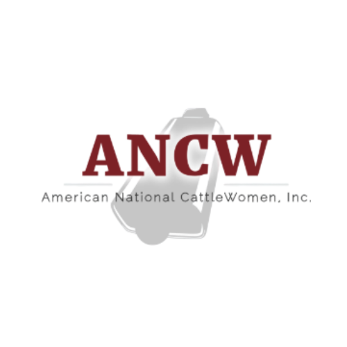 Logo of the American National Catholic Wellness, showing an American flag in the background with the letters ANCW in red and the full name in smaller text.