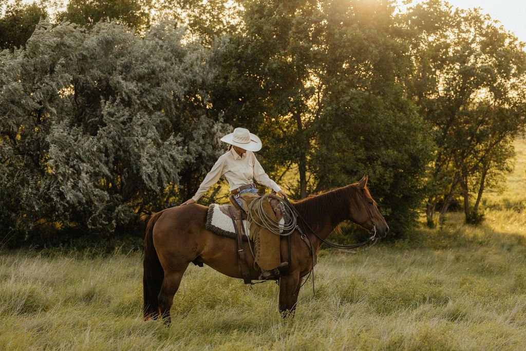 Building leadership in the cattle industry
