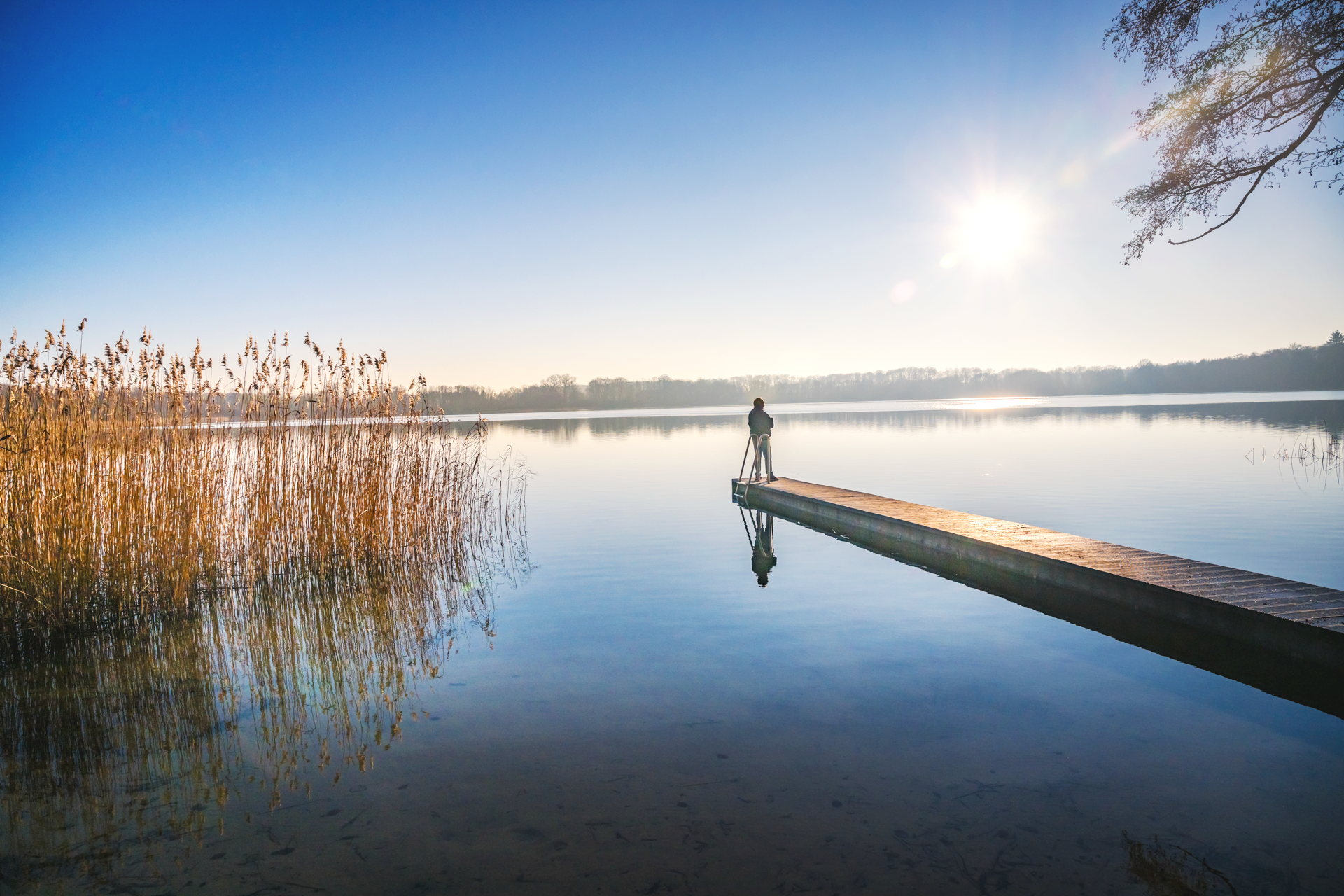 Ein Mensch steht auf einem Steg auf einem ruhigen See bei Sonnenuntergang, umgeben von Wasser, Bäumen und Schilf