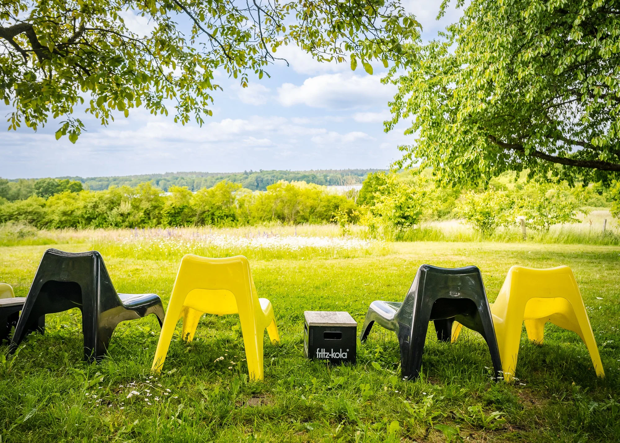Vier bunte Kunststoffstühle (zwei schwarz, zwei gelb) stehen im Gras unter einem Baum mit einem schwarzen Fritz-Kola-Kästchen in der Mitte, im Hintergrund eine grüne Wiese, Bäume und ein blauer Himmel mit Wolken.