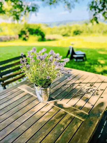 Blumen auf einem Holztisch im Garten mit Rasen, Bäumen und einem Sitz im Hintergrund bei sonnigem Wetter.