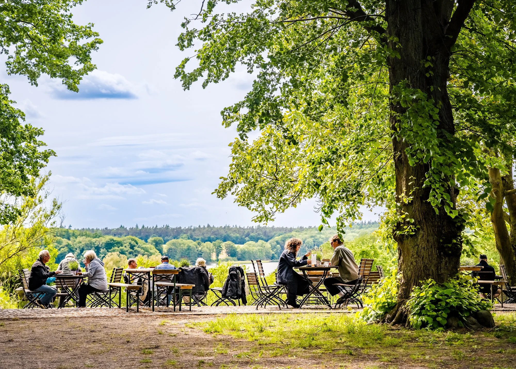 Menschen sitzen an Tischen im Freien unter großen Bäumen an einem Flussufer, genießen das schöne Wetter und die Natur.