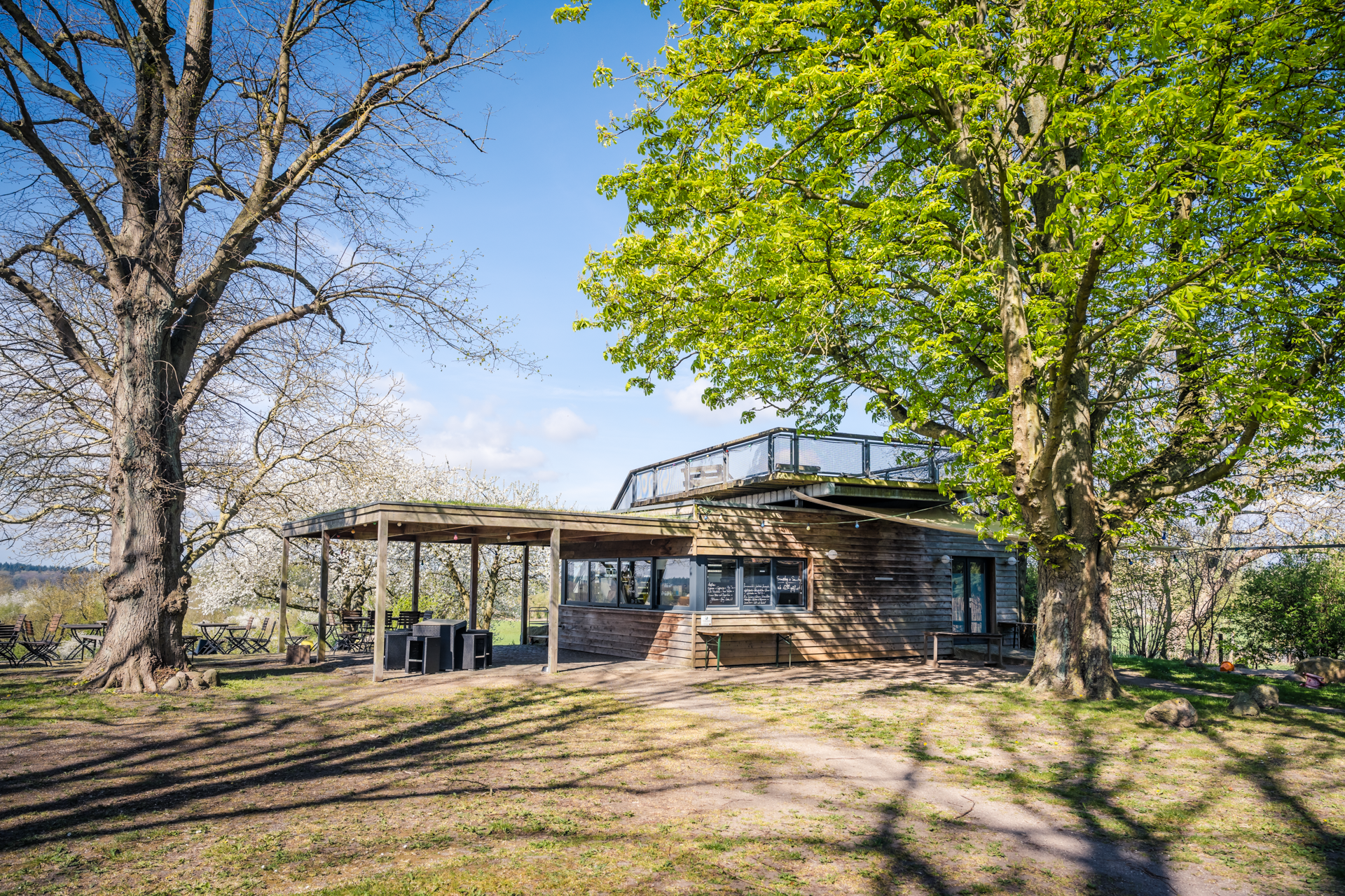 Ein modernes Holzgebäude unter großen Bäumen bei sonnigem Himmel.