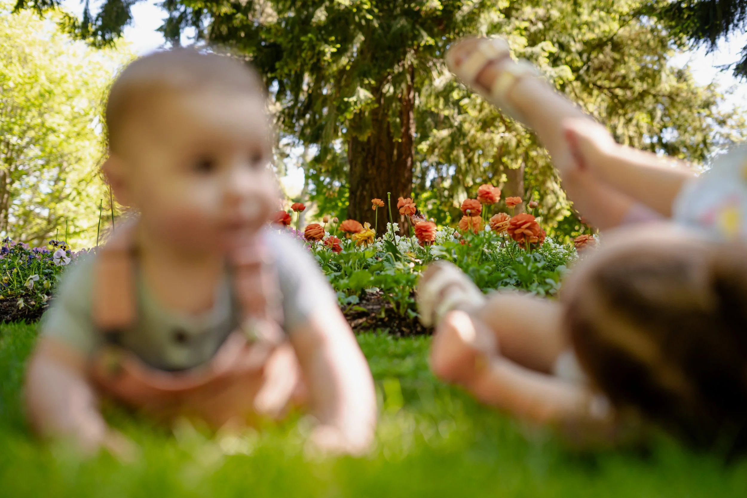 Stacey May-47 copy.jpg