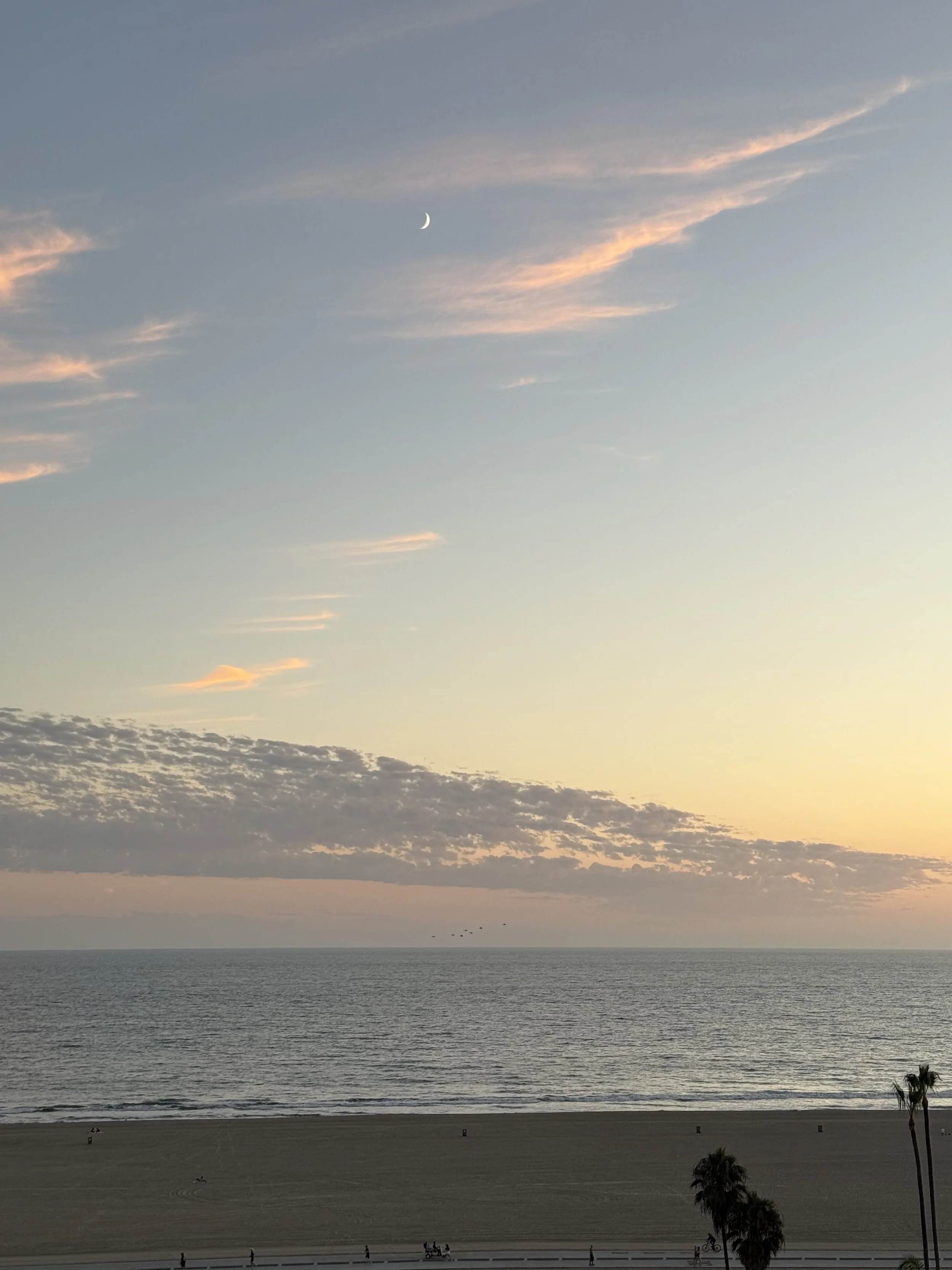 Sunset at the beach with a crescent moon in the sky, some wispy clouds, and a few palm trees on the right side.