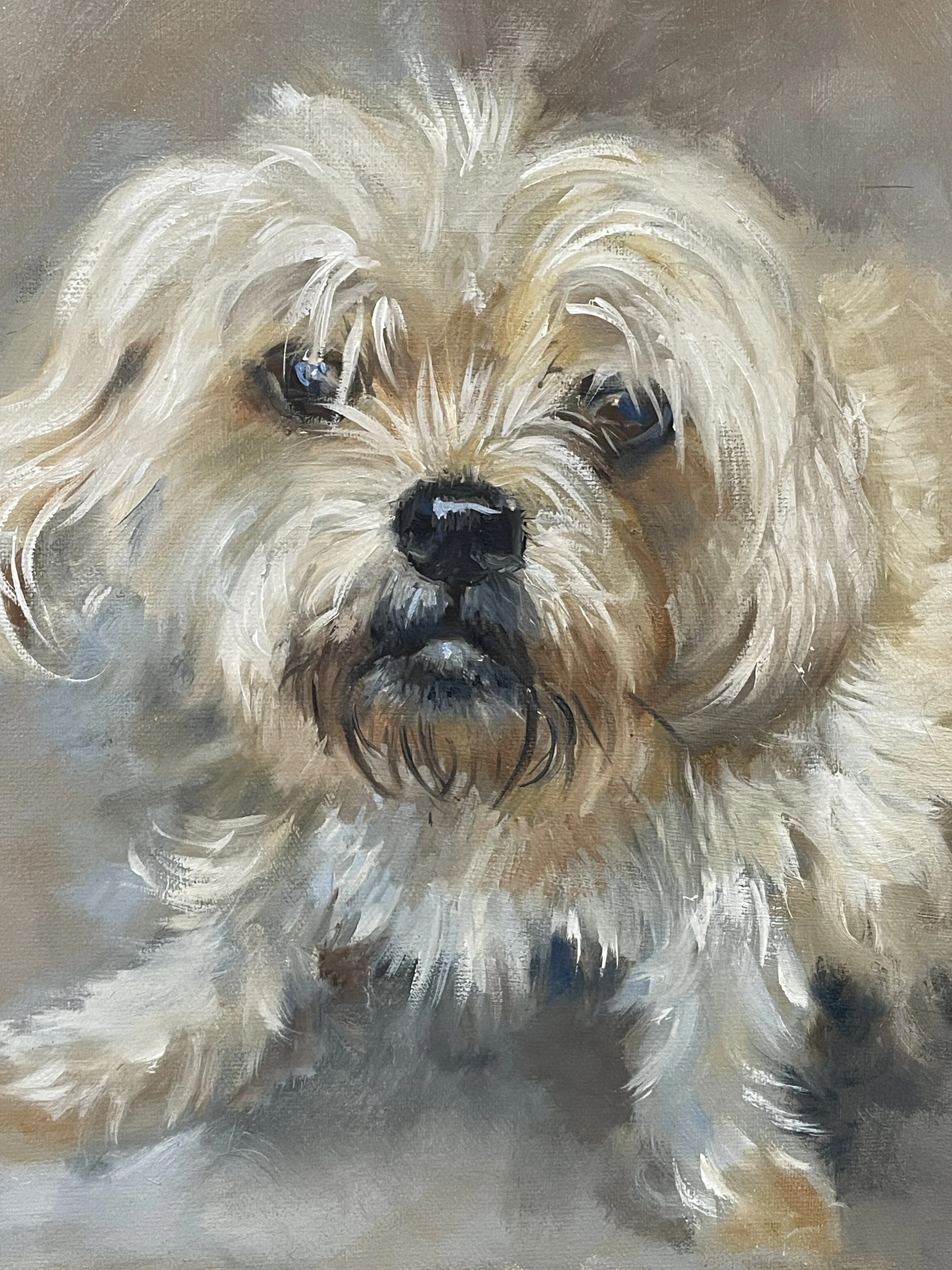 This is my dog Benson, who I very recently had to have put ‘to sleep’ as he was in pain with a variety of issues - he was 14 years old and a lovely cuddly bear. I miss him so much - I needed to do some Therapy and this is the result. Creativity heals