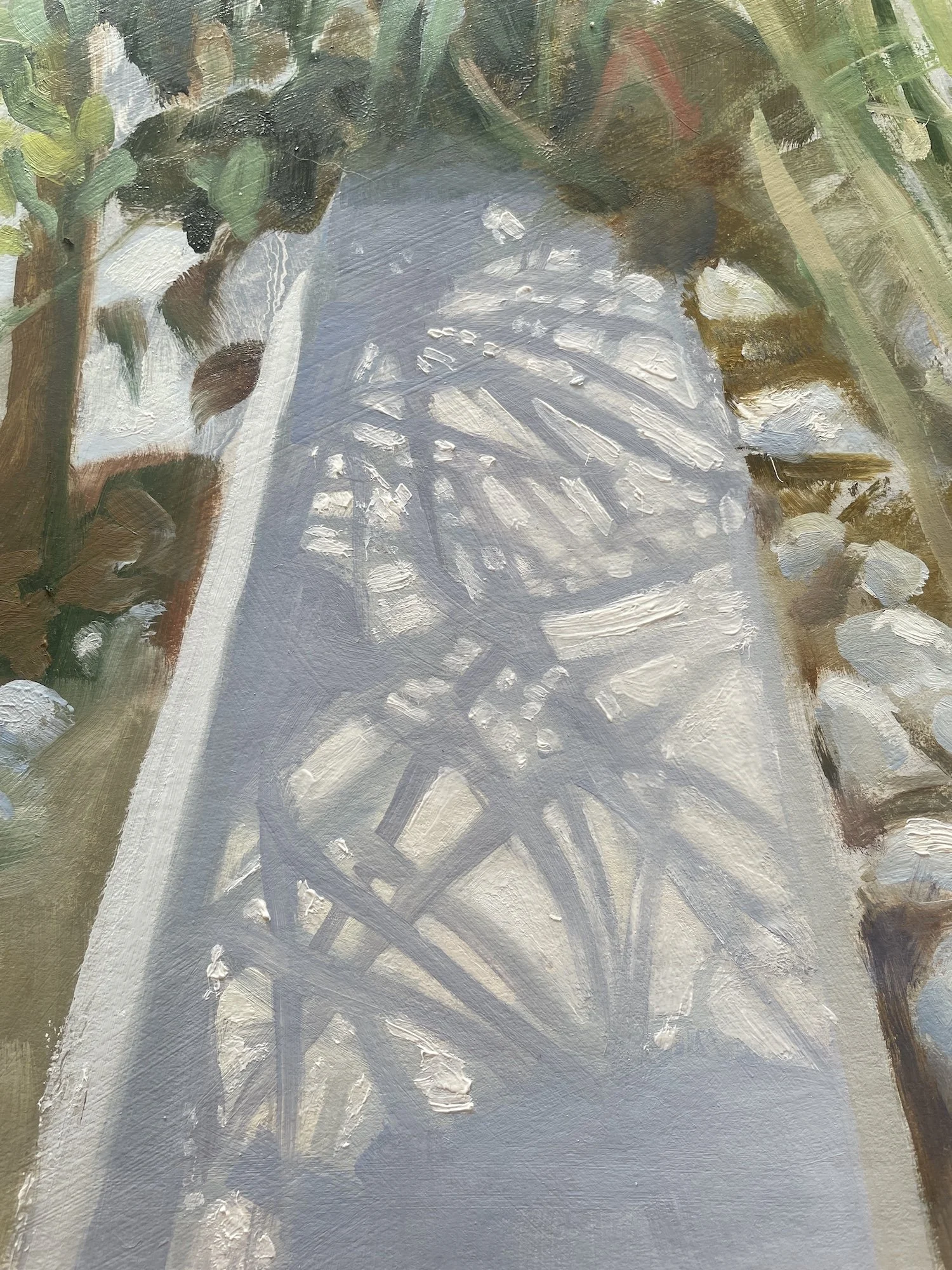 A Place out of the Sun