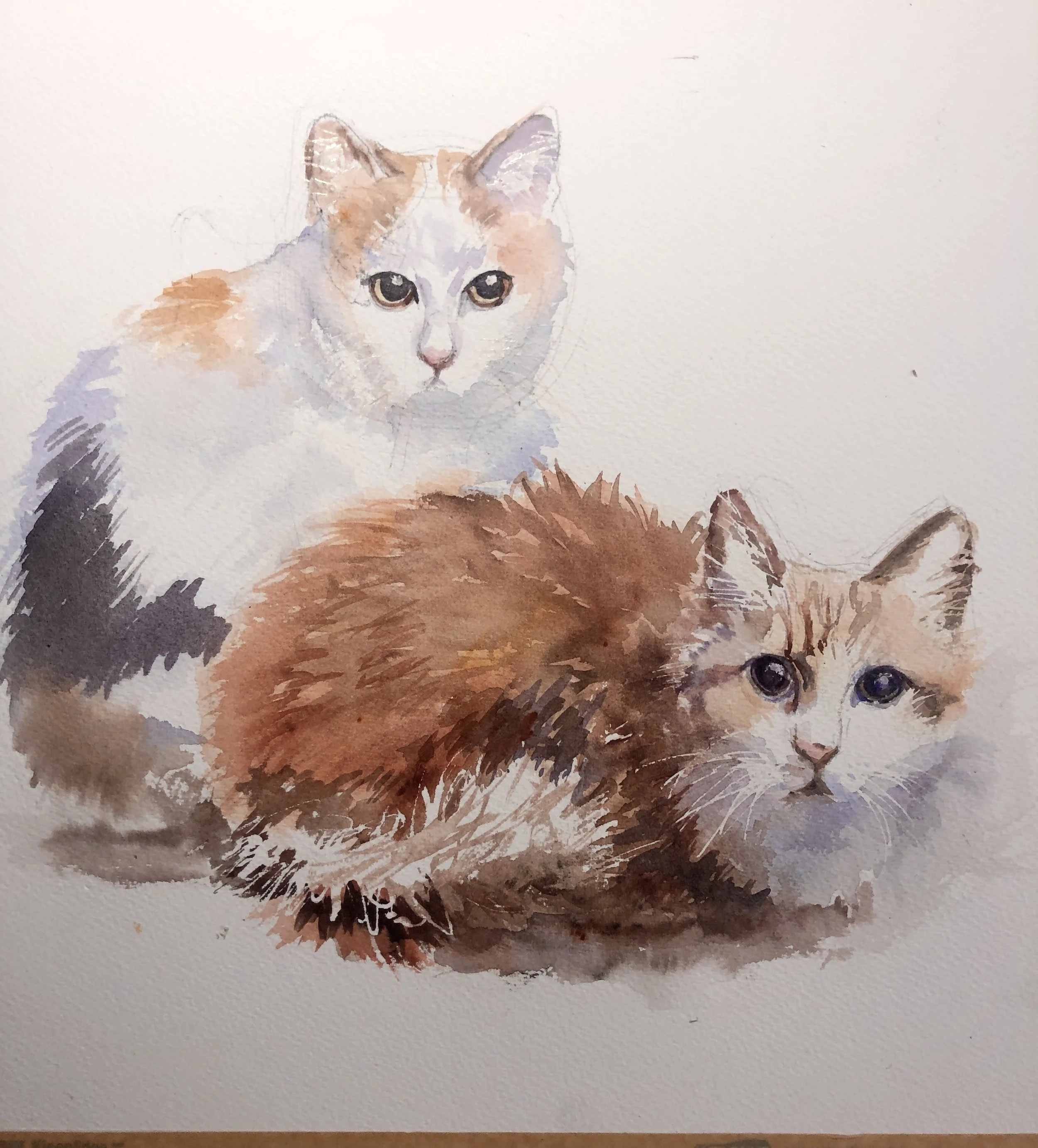 2+CATS.png