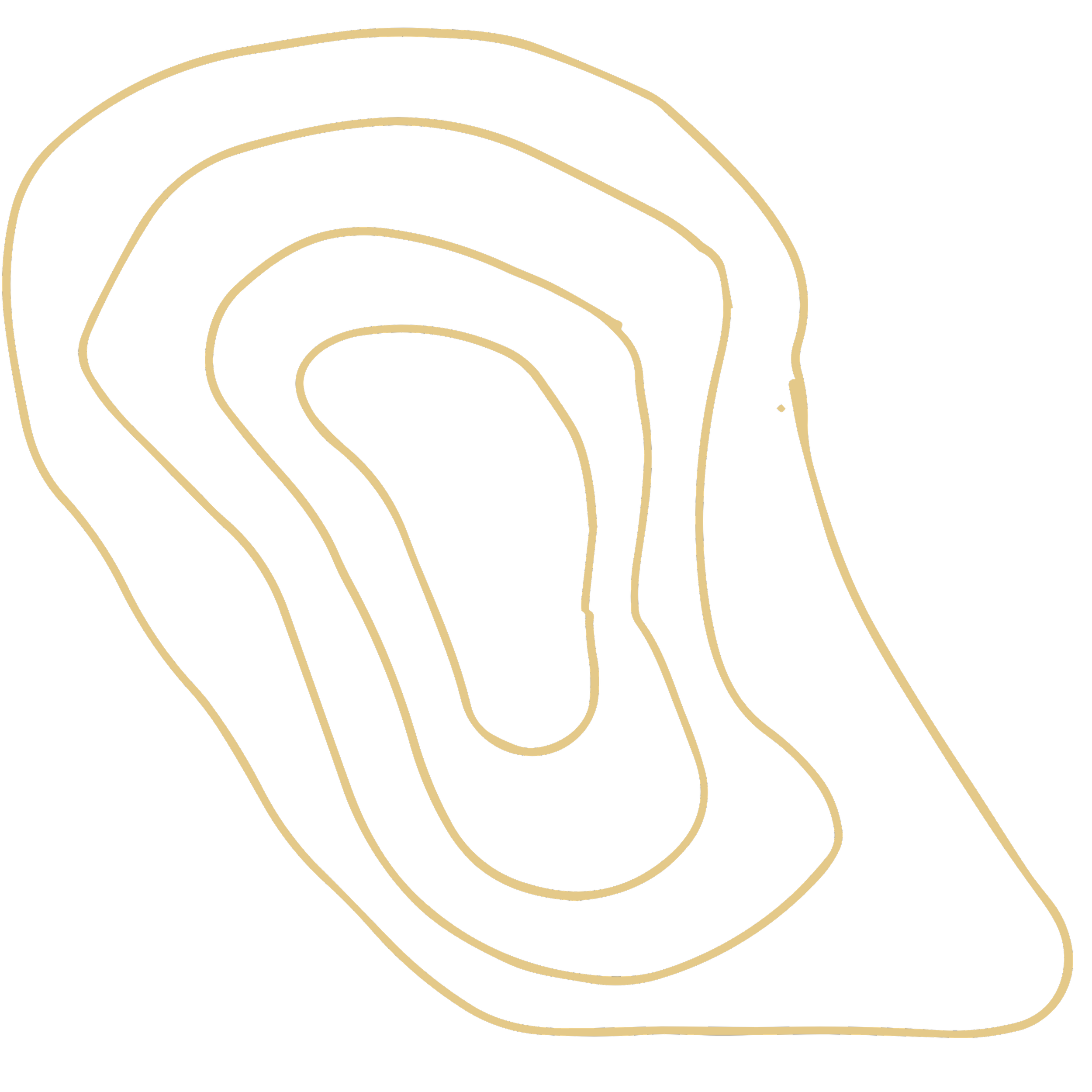 Abstract design with concentric golden lines forming irregular shapes on a black background.