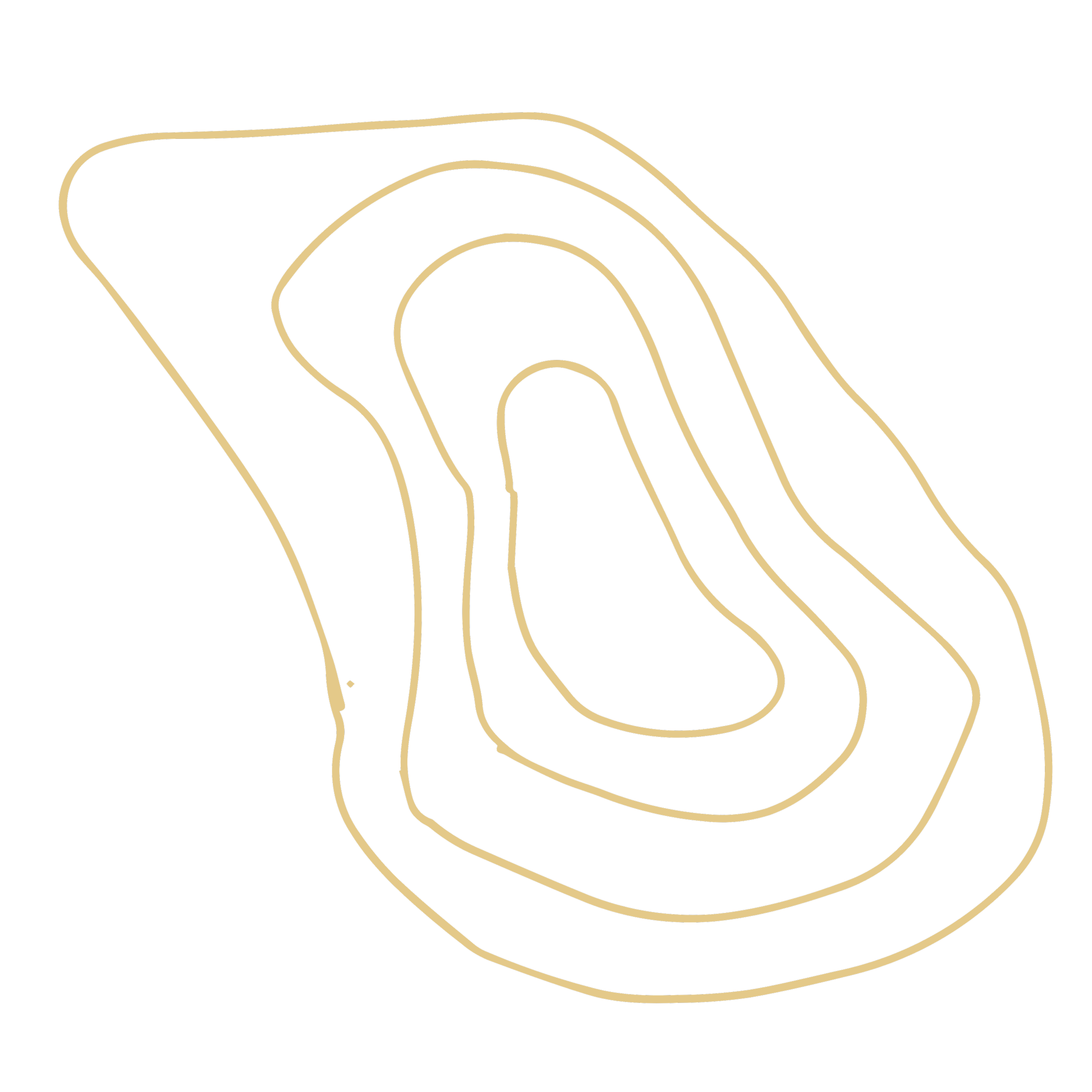 Gold contour lines on a black background forming an abstract topographical map.