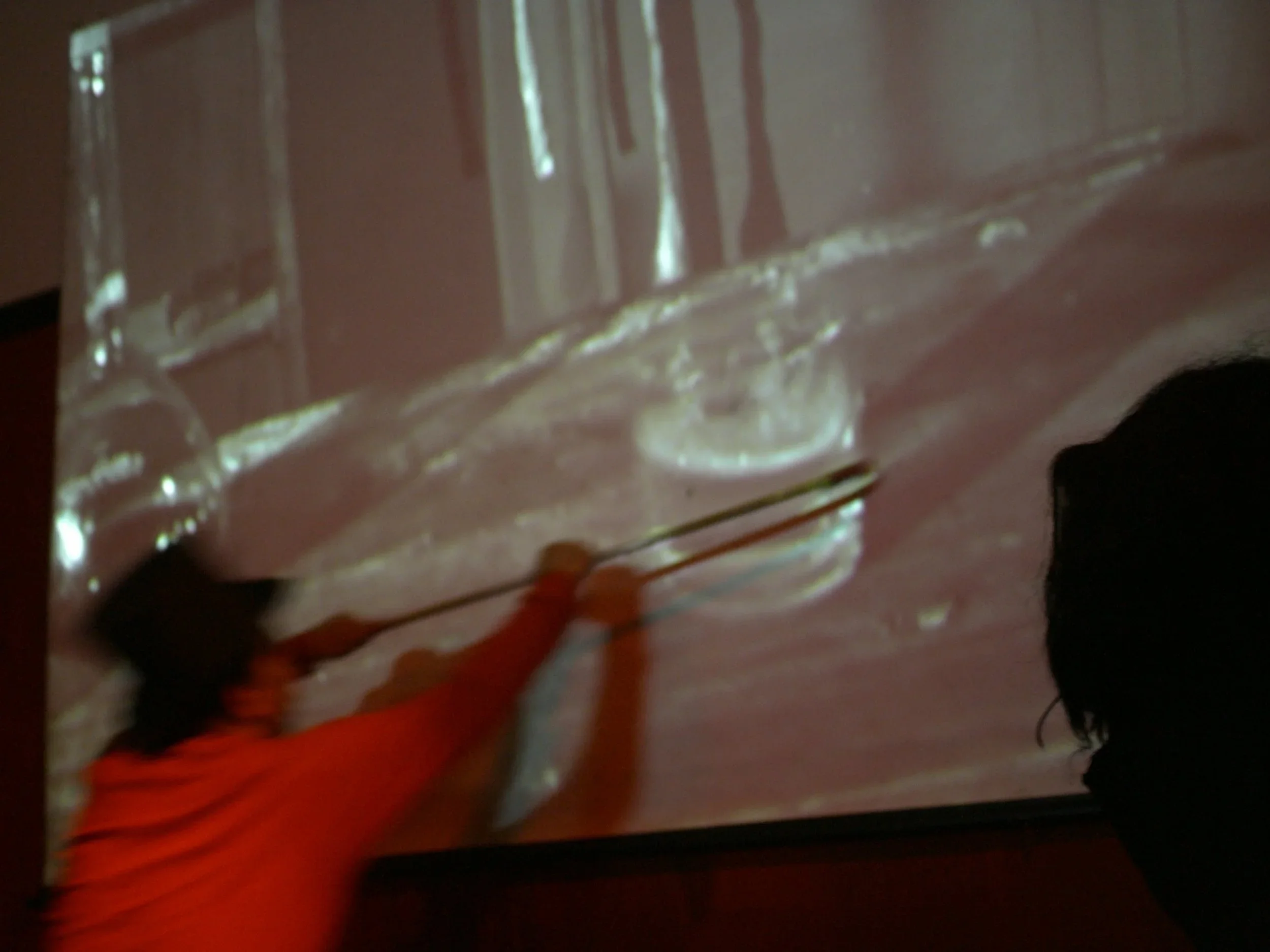 Person using a pointer to illustrate features on a large screen displaying an anatomical or medical image.