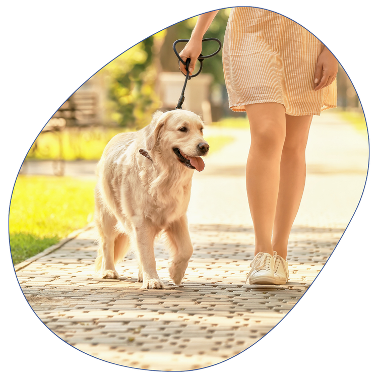 Poop-Free Guarantee