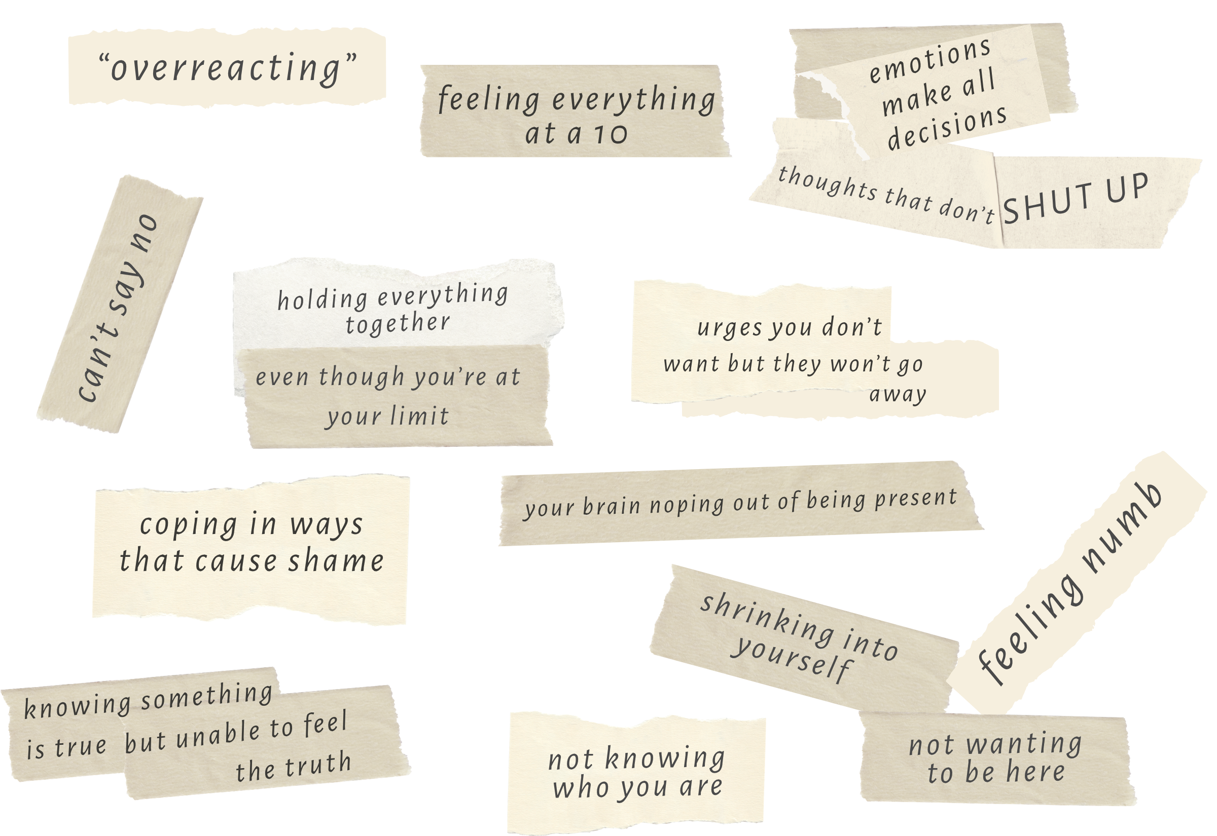 Torn paper scraps displaying examples of common struggles.