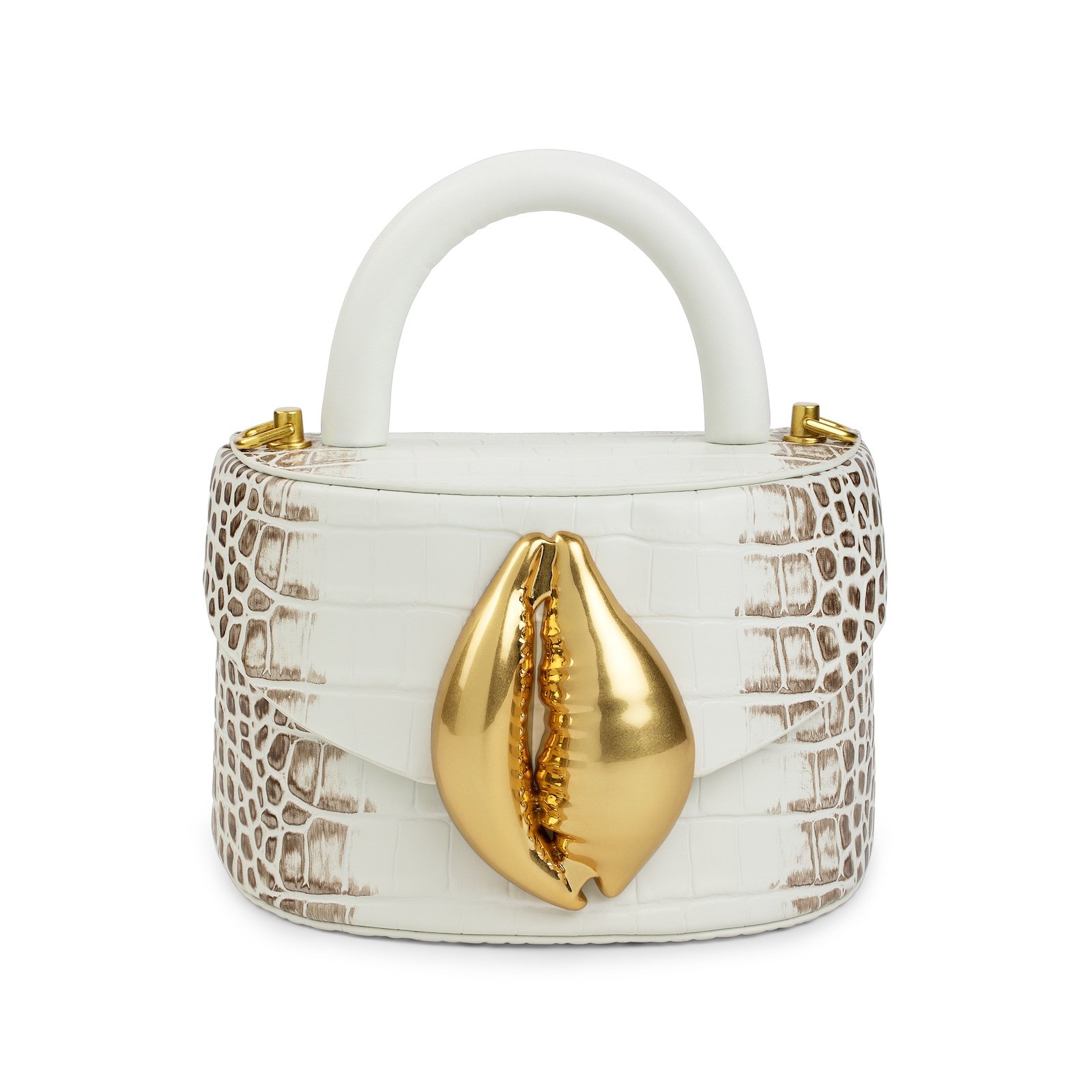 flore Himalayan Viera Cowrie Shell.jpg