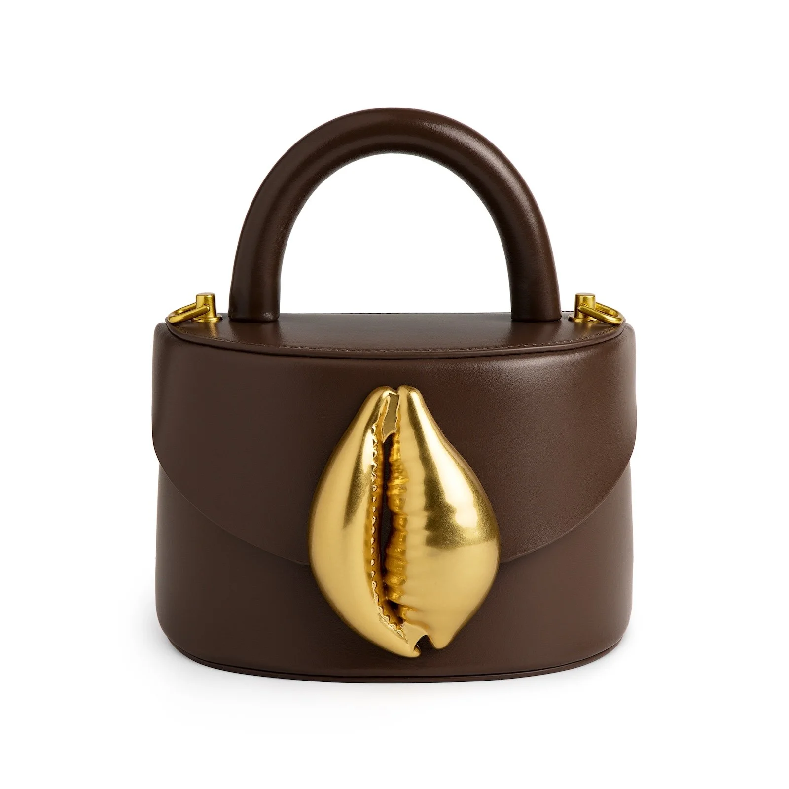 flore Dark Brown Viera Cowrie Shell.jpg