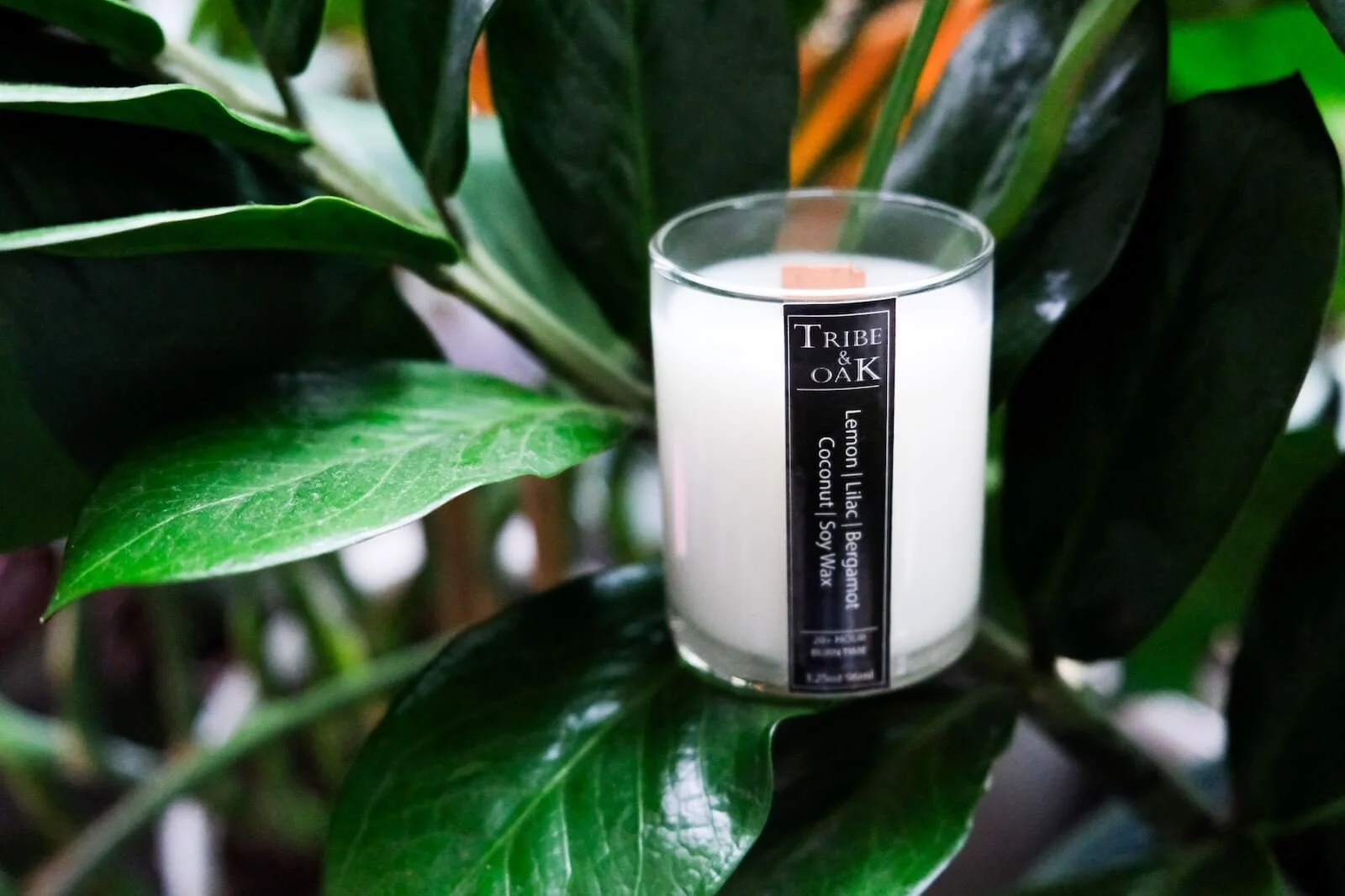 tribe-oak LEMON BERG VOTIVE 1.jpg