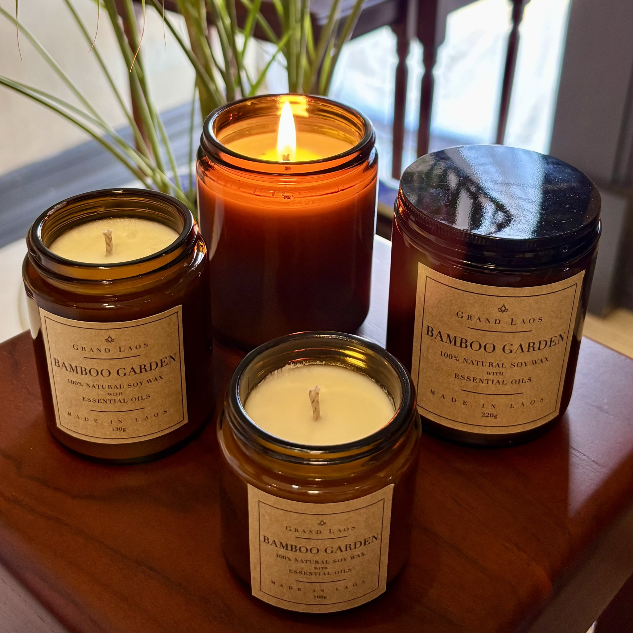 Bamboo Garden - Scented Candle