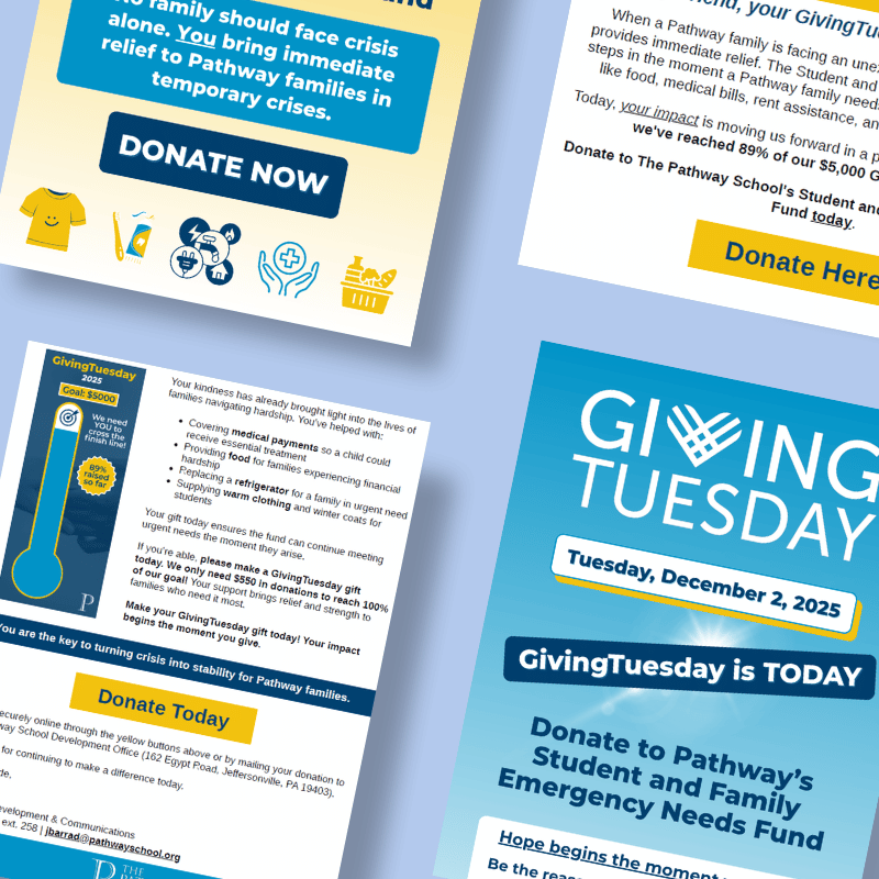 Giving Tuesday: Email and Social Media Campaign