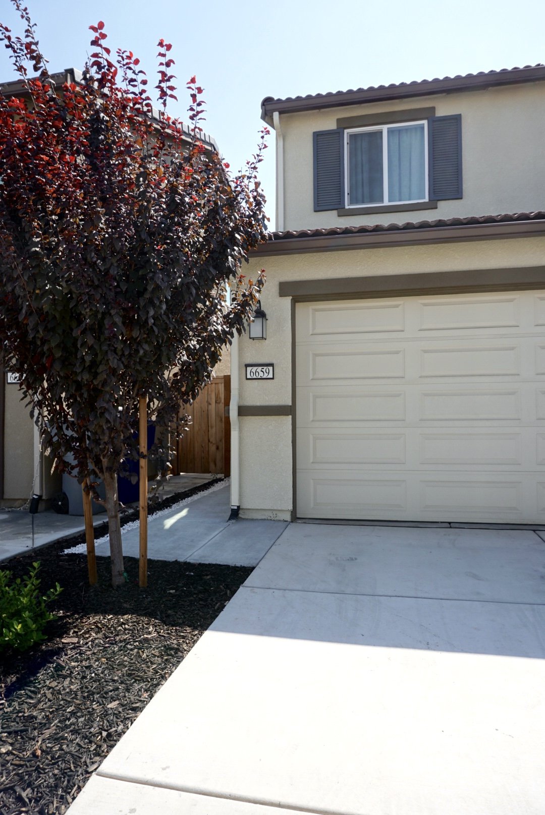 Front Yard - Photo 4 (The Serene Space).JPG