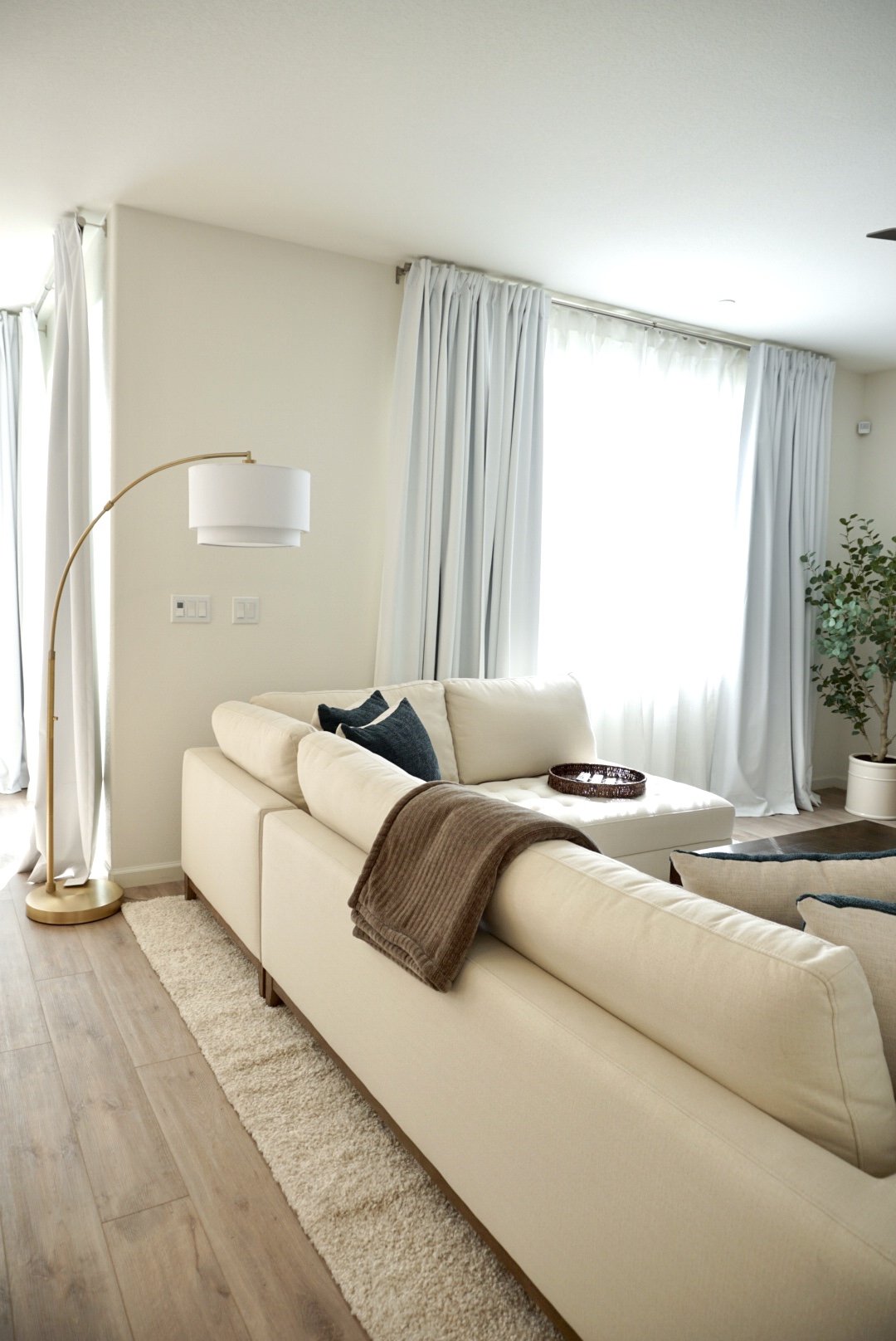 Living Room - Photo 7 (The Serene Space).JPG