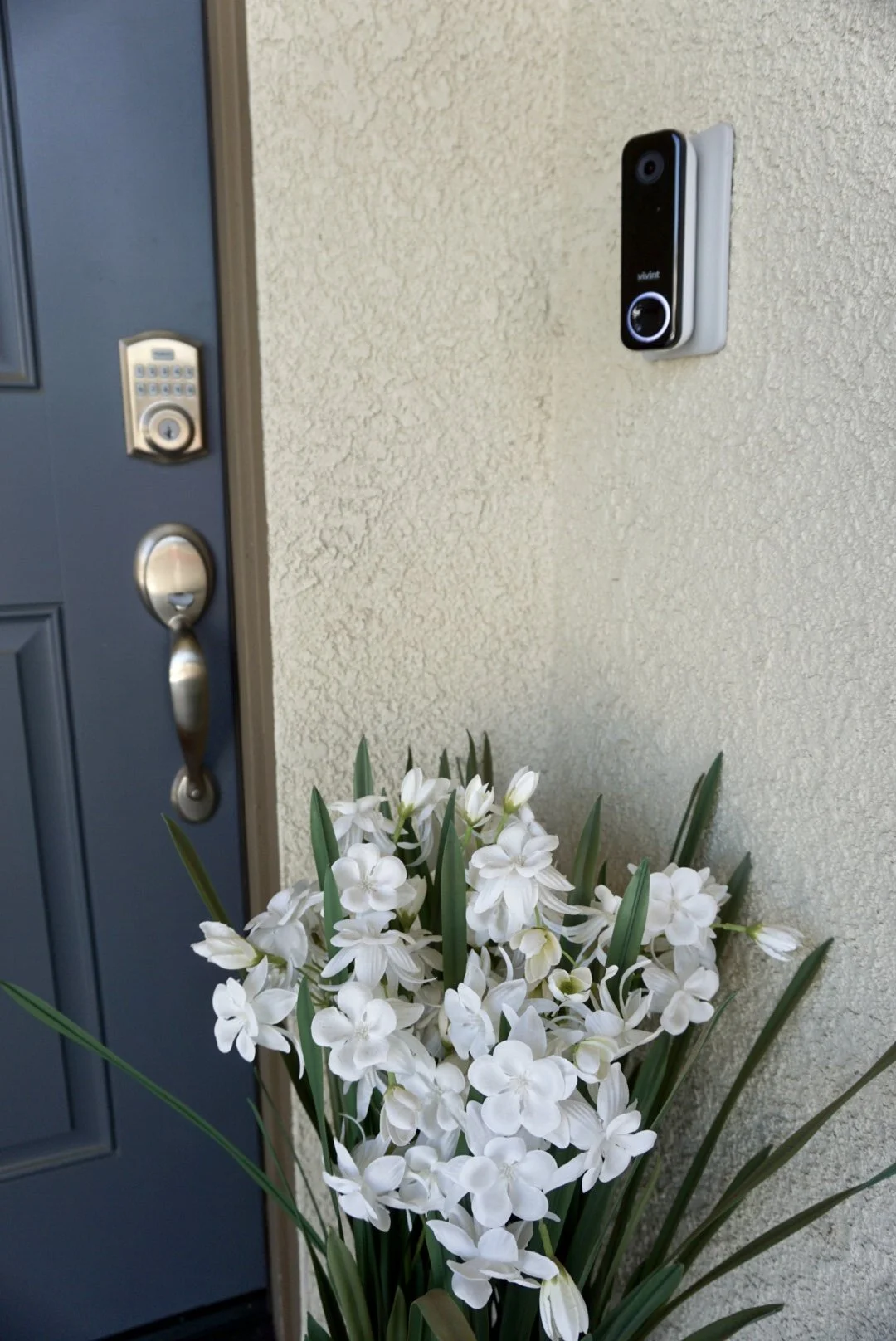 Front Yard - Photo 8 (The Serene Space).JPG