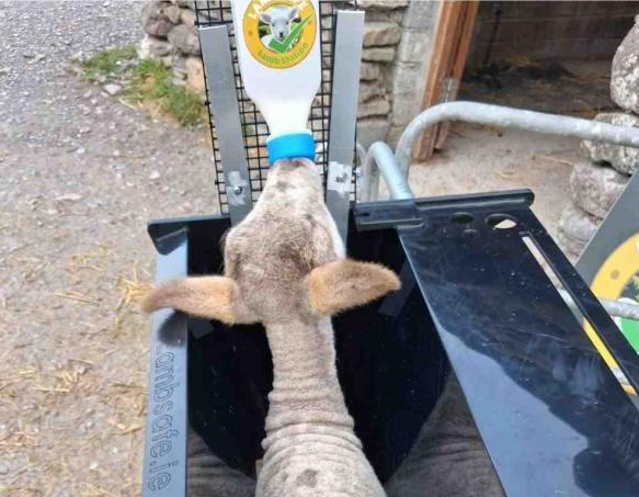 Lamb Station bottle mounting kit