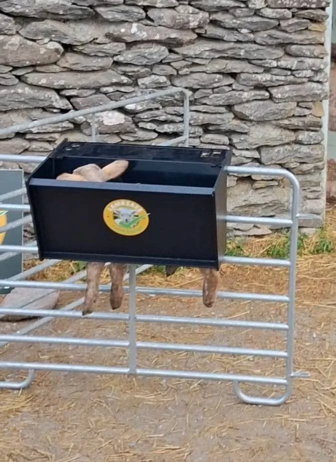 Lamb Station