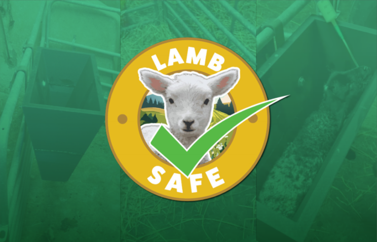 Lamb Safe logo with a lamb's face, a green checkmark, and a rural background.