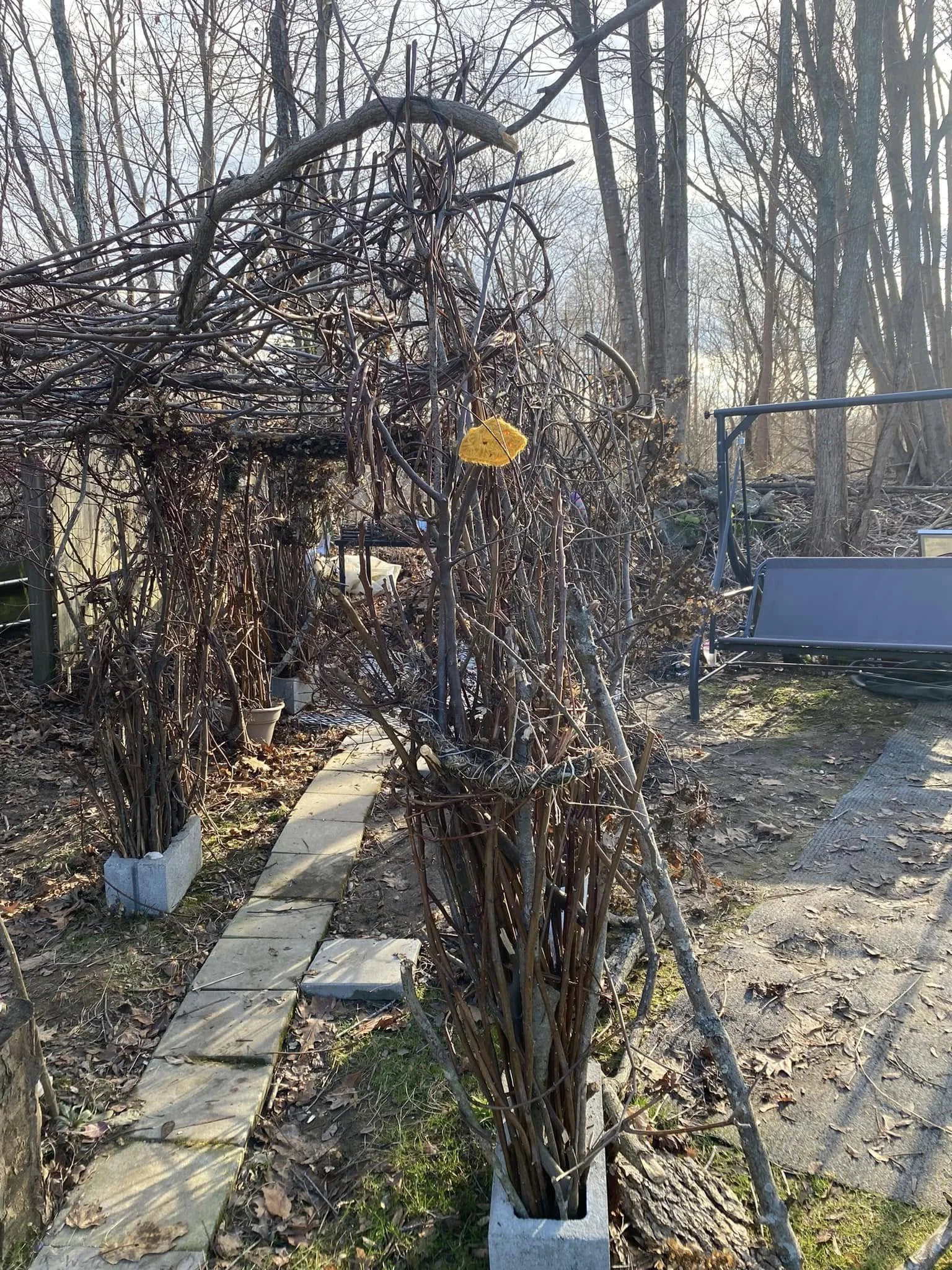 bare tree branches arranged in a rectangular concrete planter on a garden path, with a yellow mushroom-shaped decoration hanging from the branches, surrounded by leaf-litter and other trees in the background.