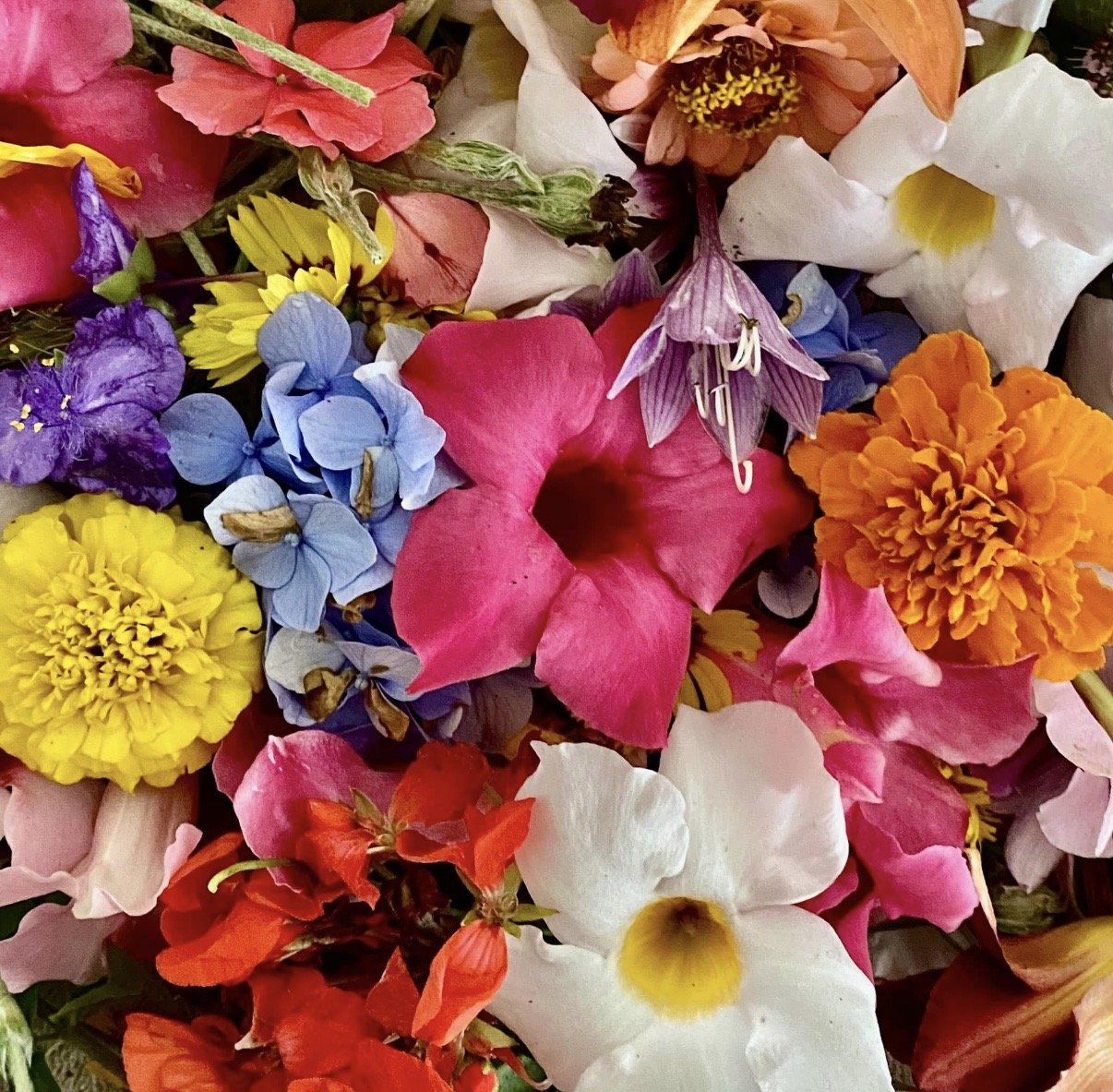 A colorful assortment of various flowers including marigolds, petunias, orchids, and hydrangeas.