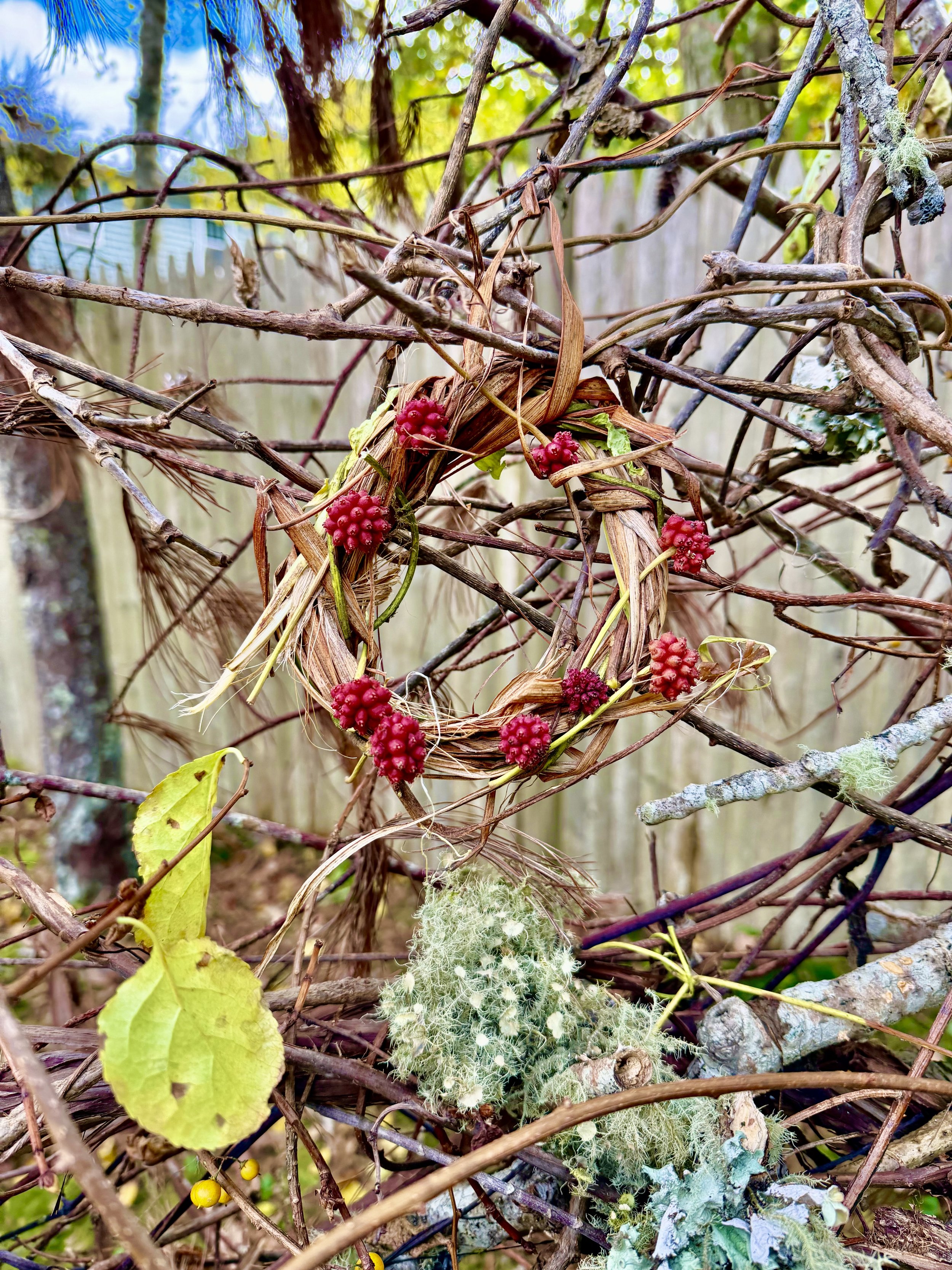 A small red berry wreath hangs on a tangle of brown and gray twigs and vines, with some green and yellow leaves and patches of lichen.