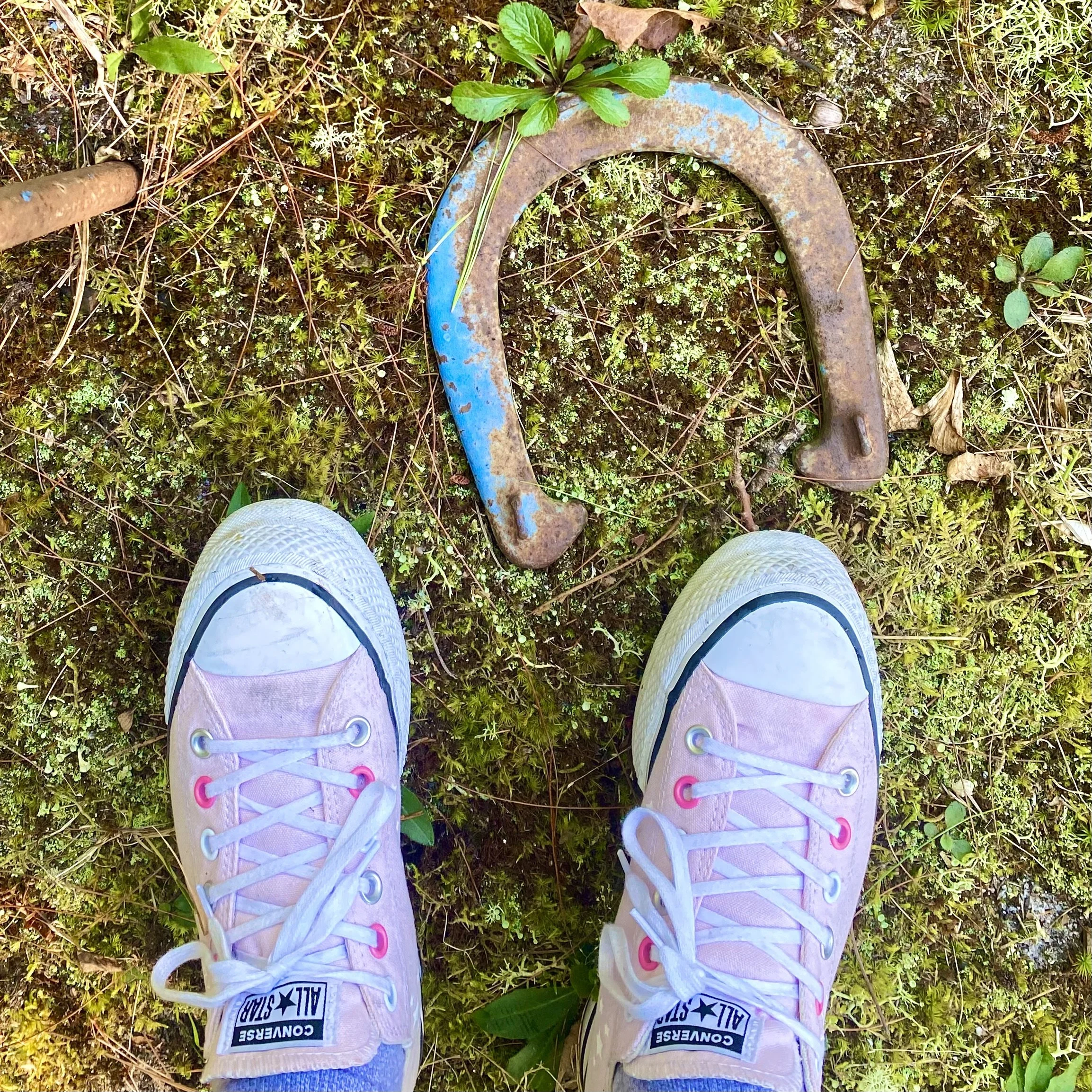 Photo of pink Converse sneakers taken from above, standing on mossy ground with small greenery plants, and a rusted U-shaped metal object lying on the ground nearby.