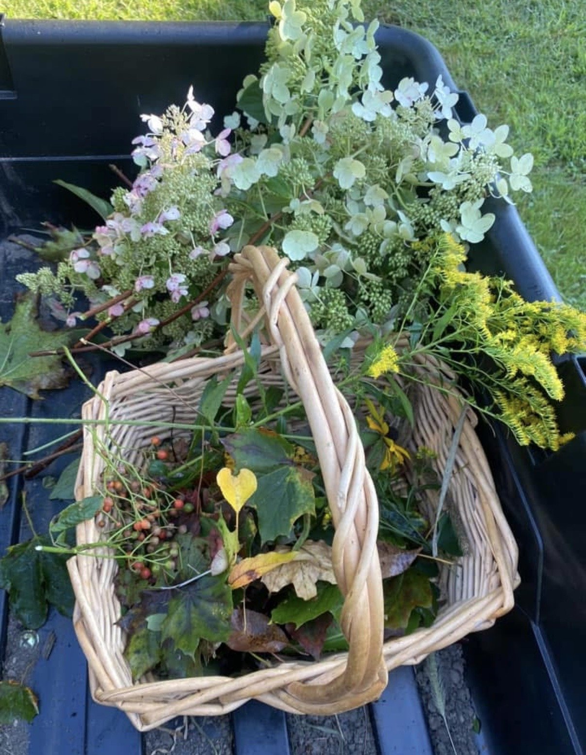 Basket filled with fallen autumn leaves and plant cuttings, with various green and flowering plants nearby on a black outdoor surface.
